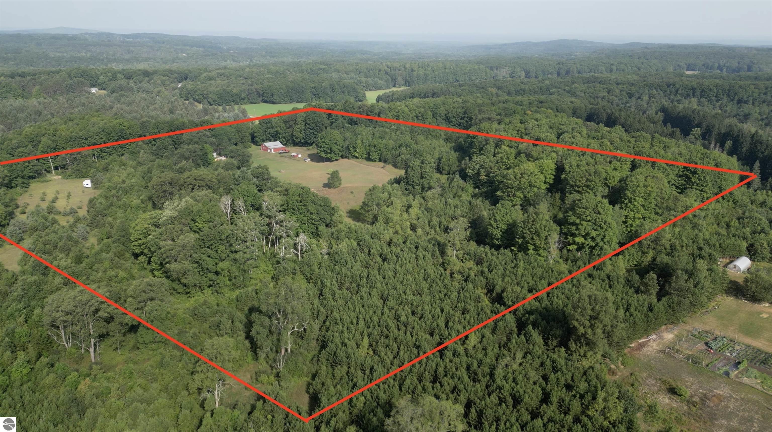 2800 N 25 Road, Mesick, MI 49668 — Photo 2