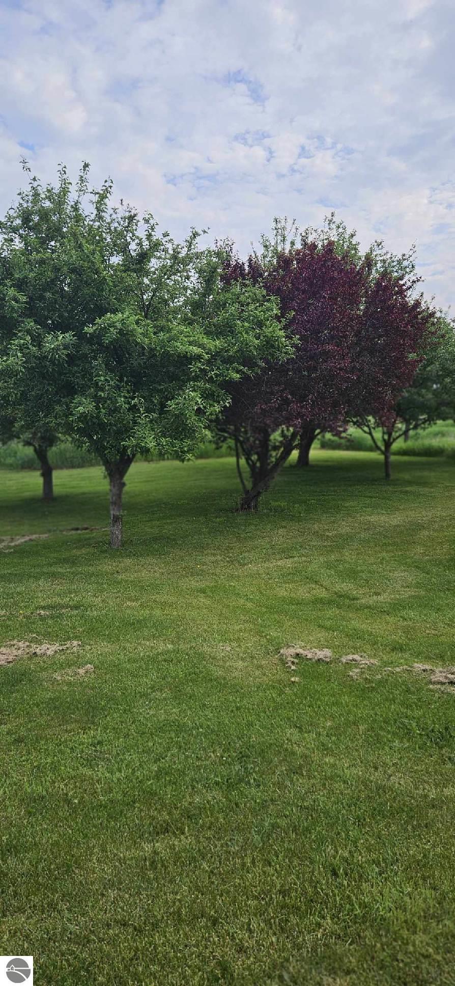 3605 Turtle Road, National City, MI 48748 — Photo 19