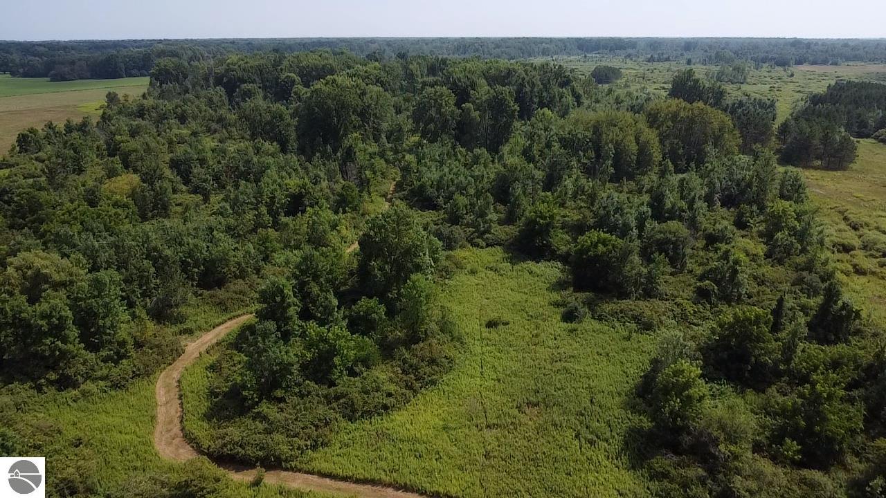 3605 Turtle Road, National City, MI 48748 — Photo 5