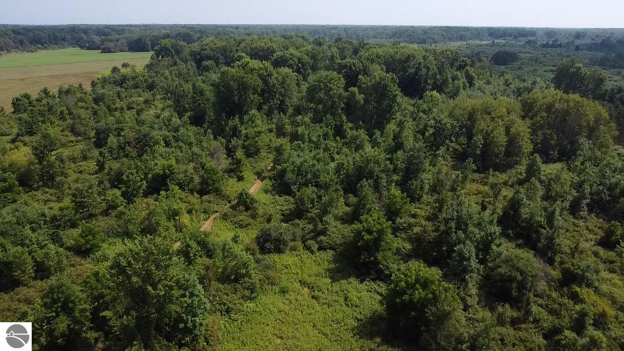 3605 Turtle Road, National City, MI 48748 — Photo 7