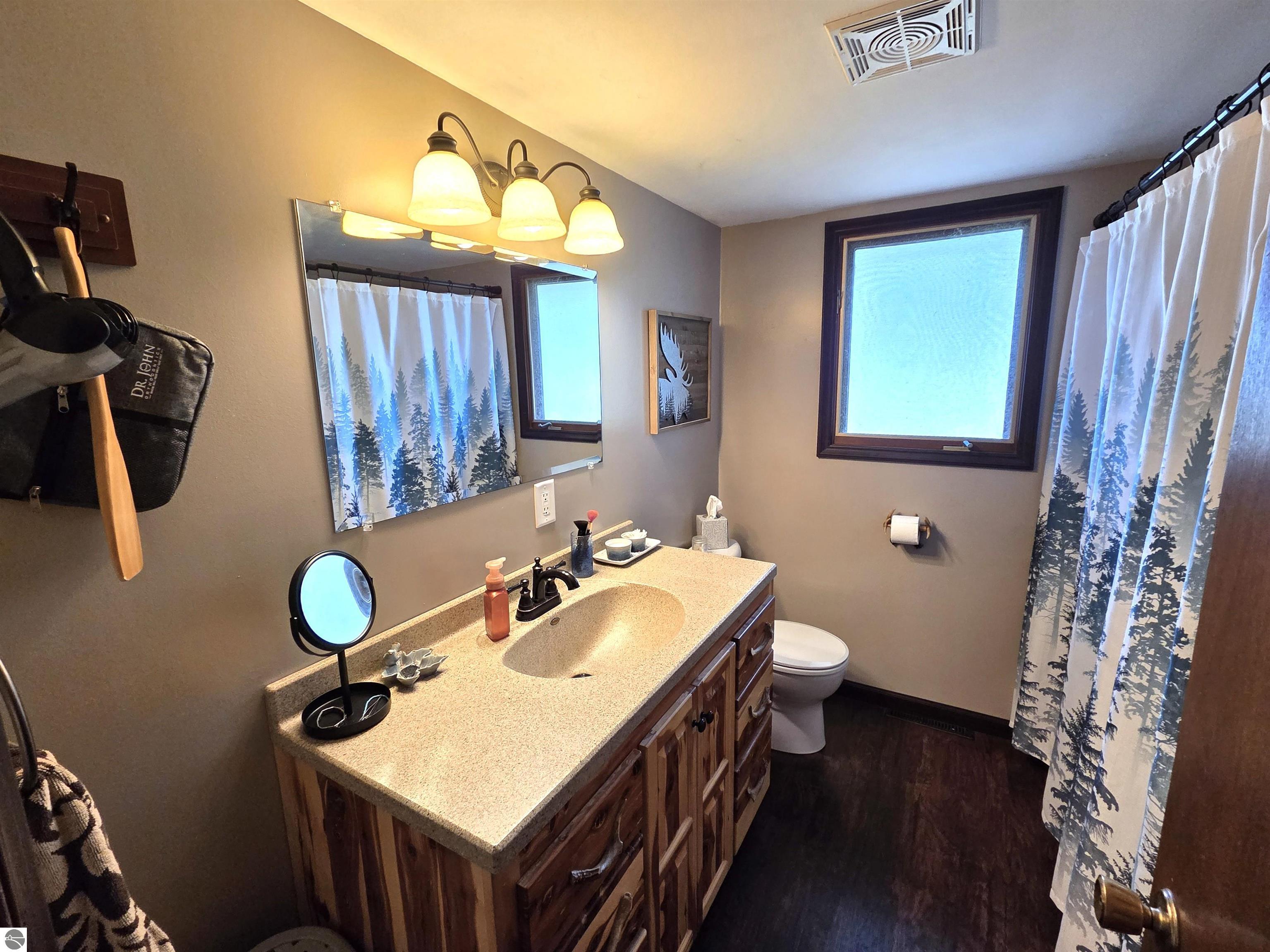 8803 Woodruff Road, Blanchard, MI 48858 — Photo 12