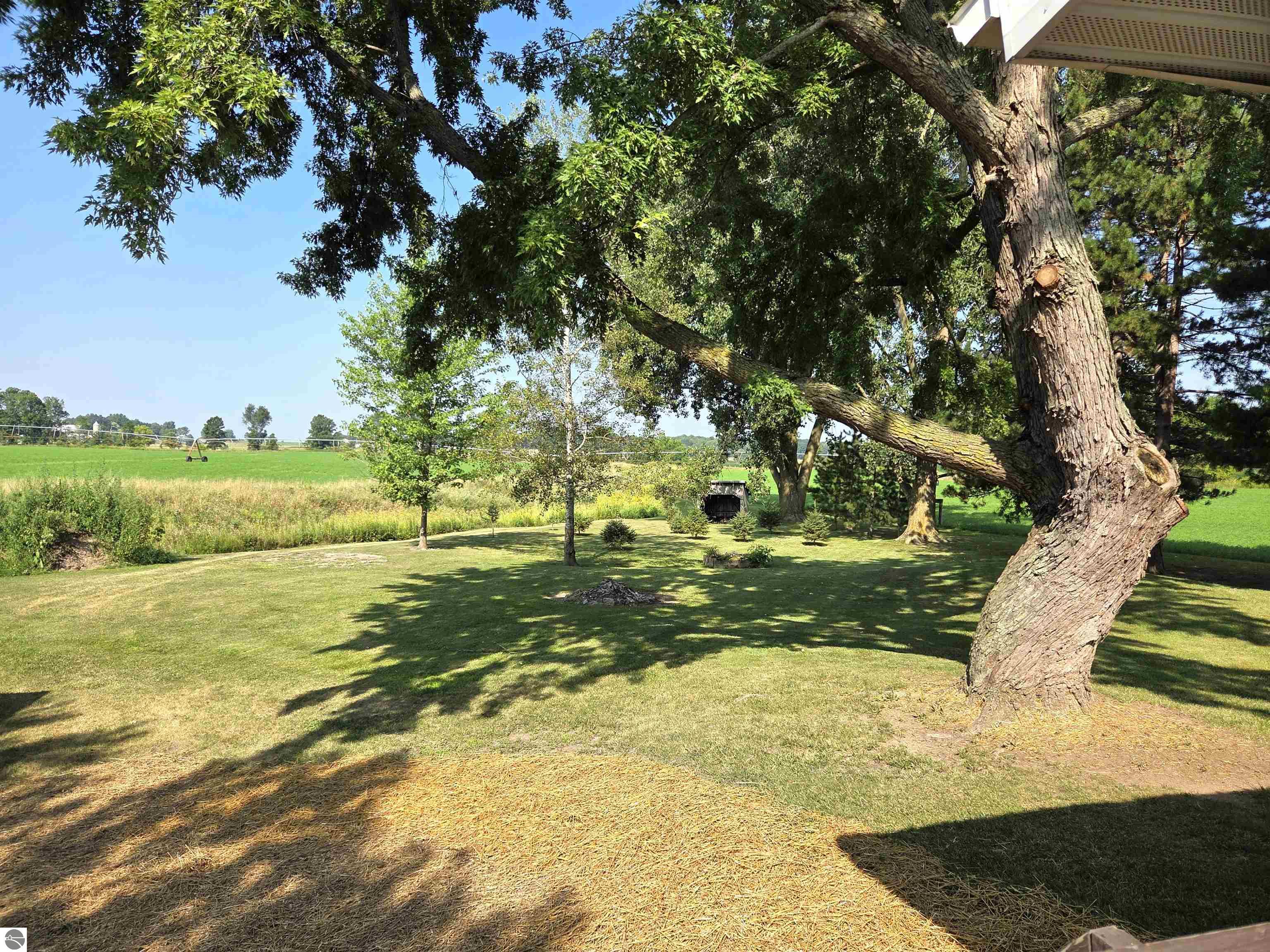 8803 Woodruff Road, Blanchard, MI 48858 — Photo 24