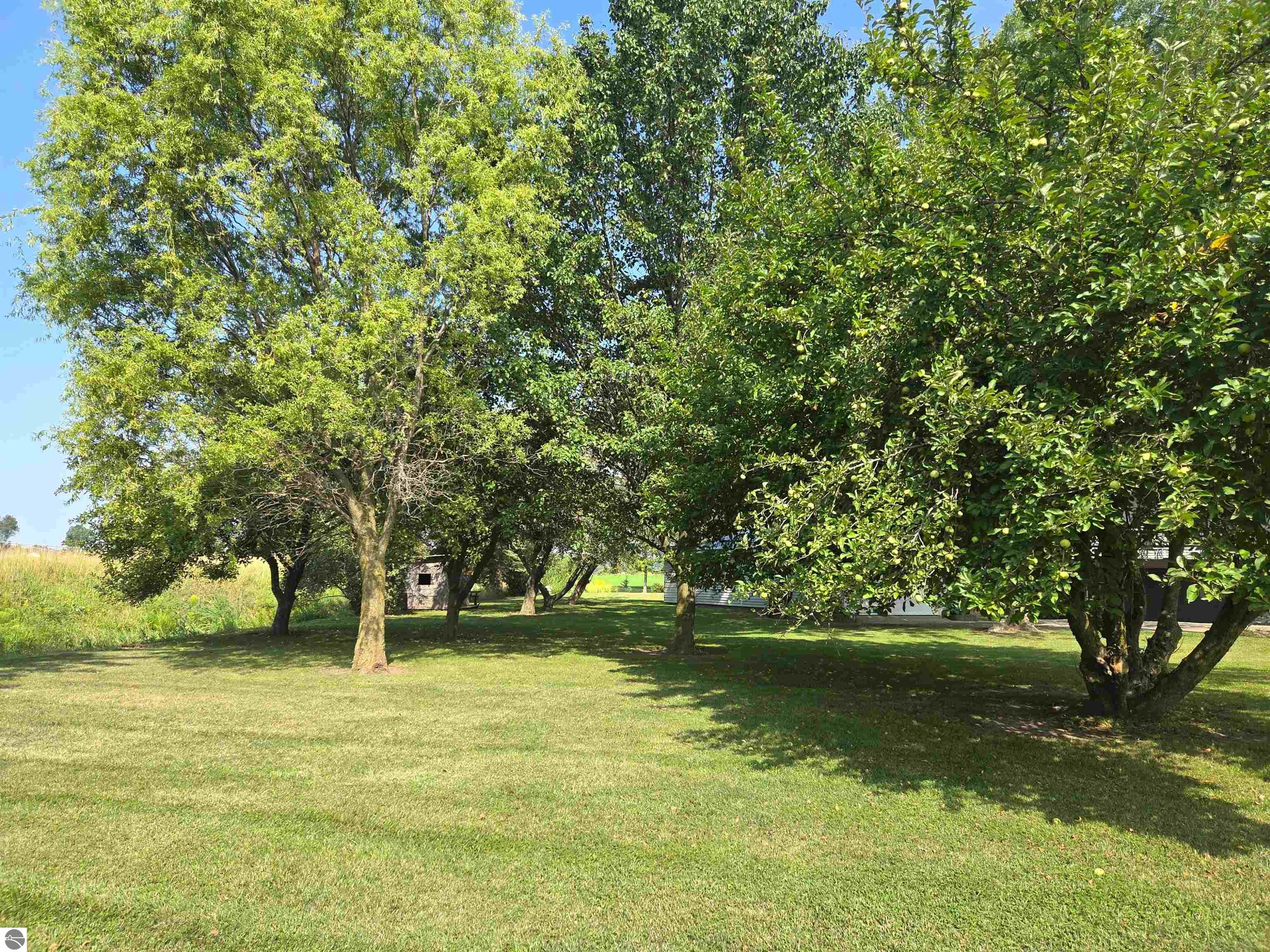 8803 Woodruff Road, Blanchard, MI 48858 — Photo 26