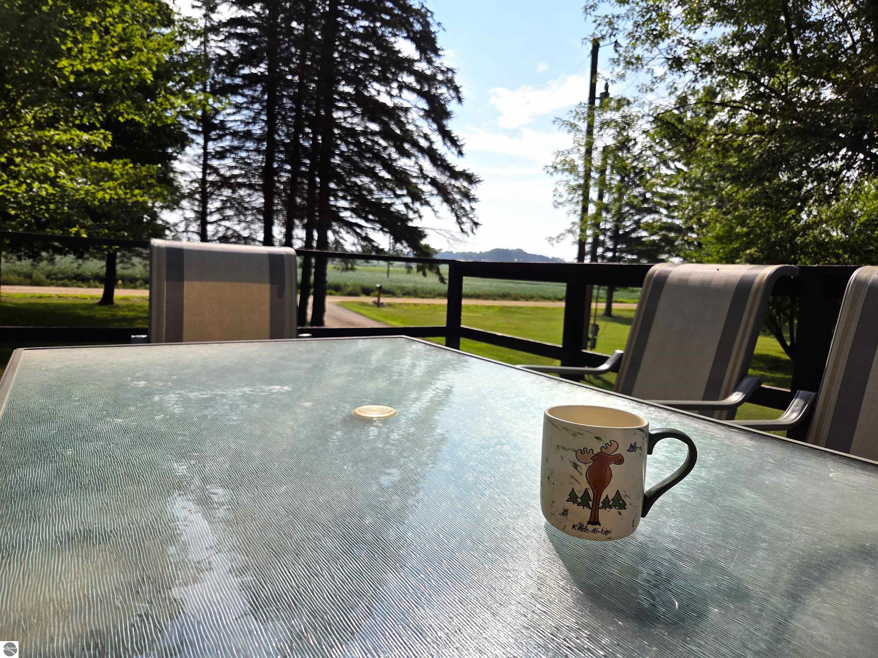 8803 Woodruff Road, Blanchard, MI 48858 — Photo 29