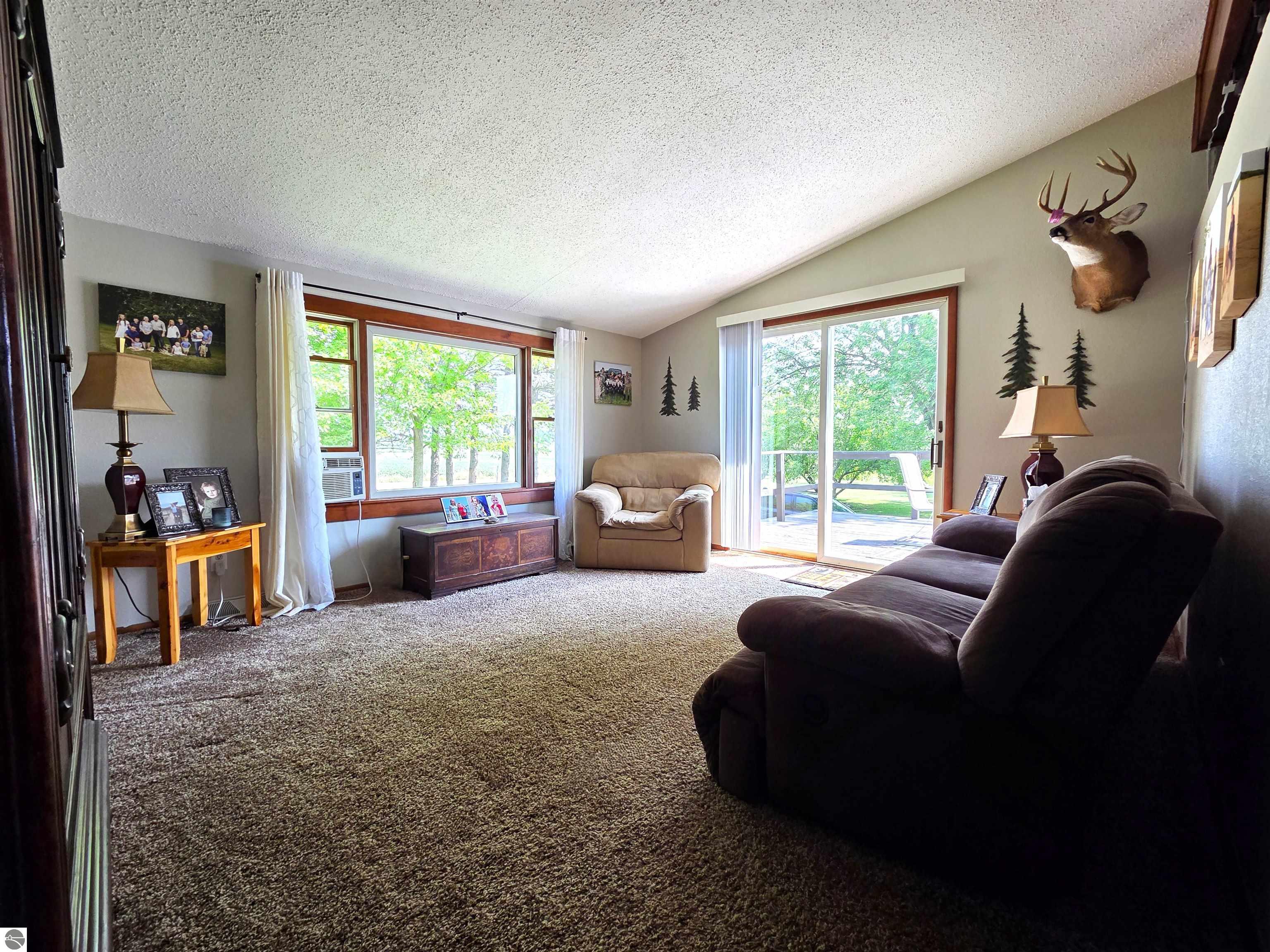 8803 Woodruff Road, Blanchard, MI 48858 — Photo 6