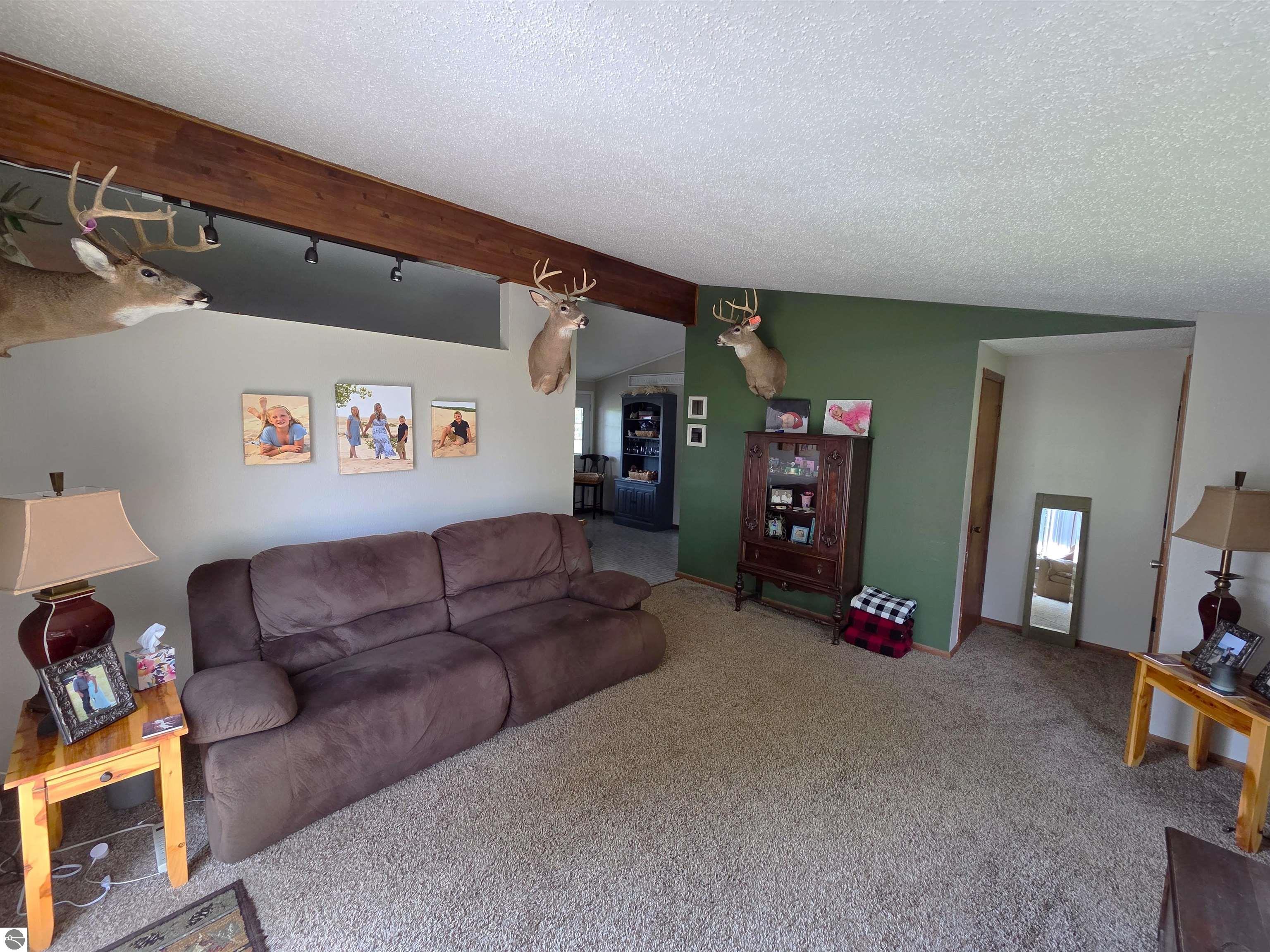 8803 Woodruff Road, Blanchard, MI 48858 — Photo 7