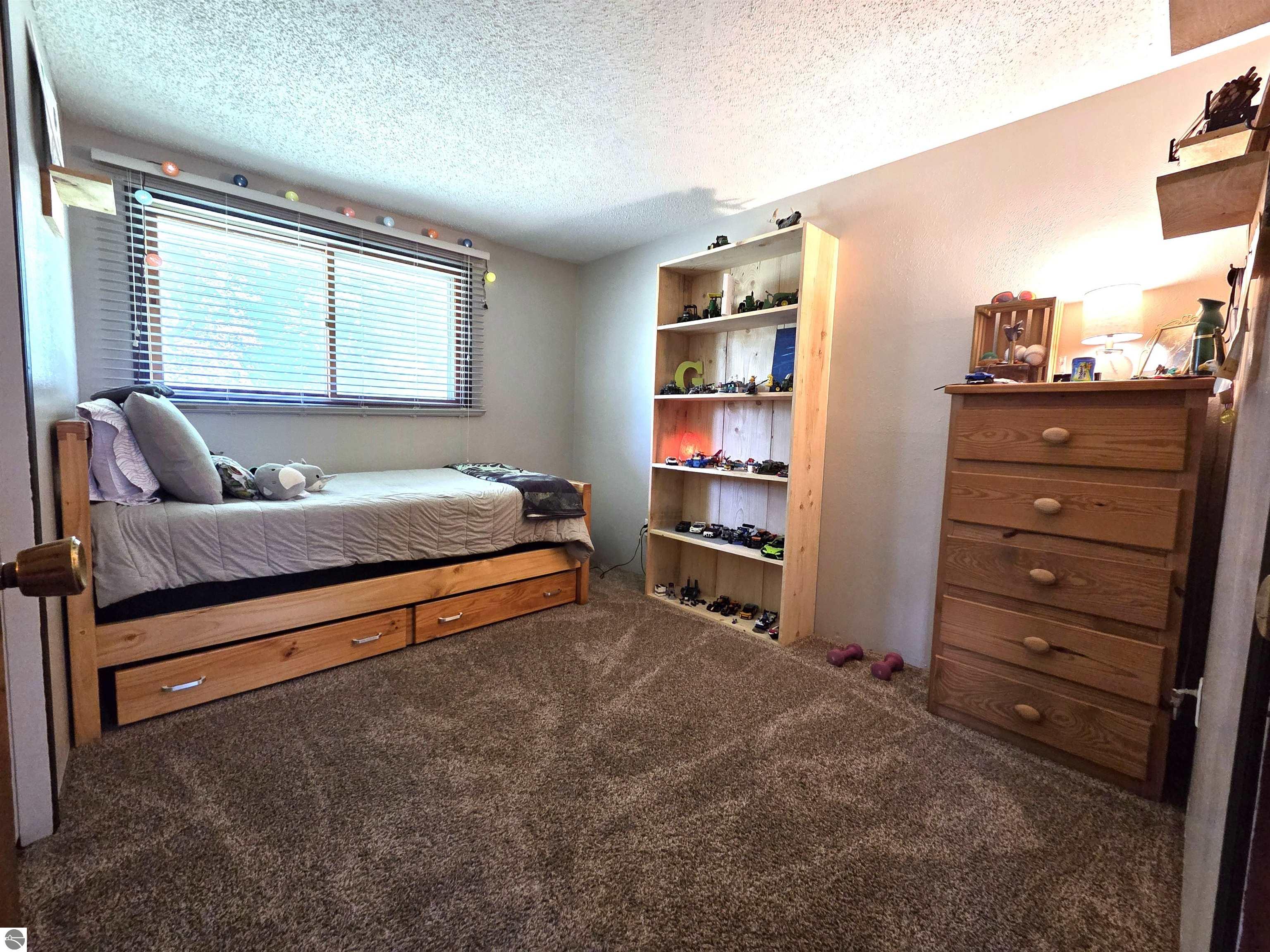 8803 Woodruff Road, Blanchard, MI 48858 — Photo 9