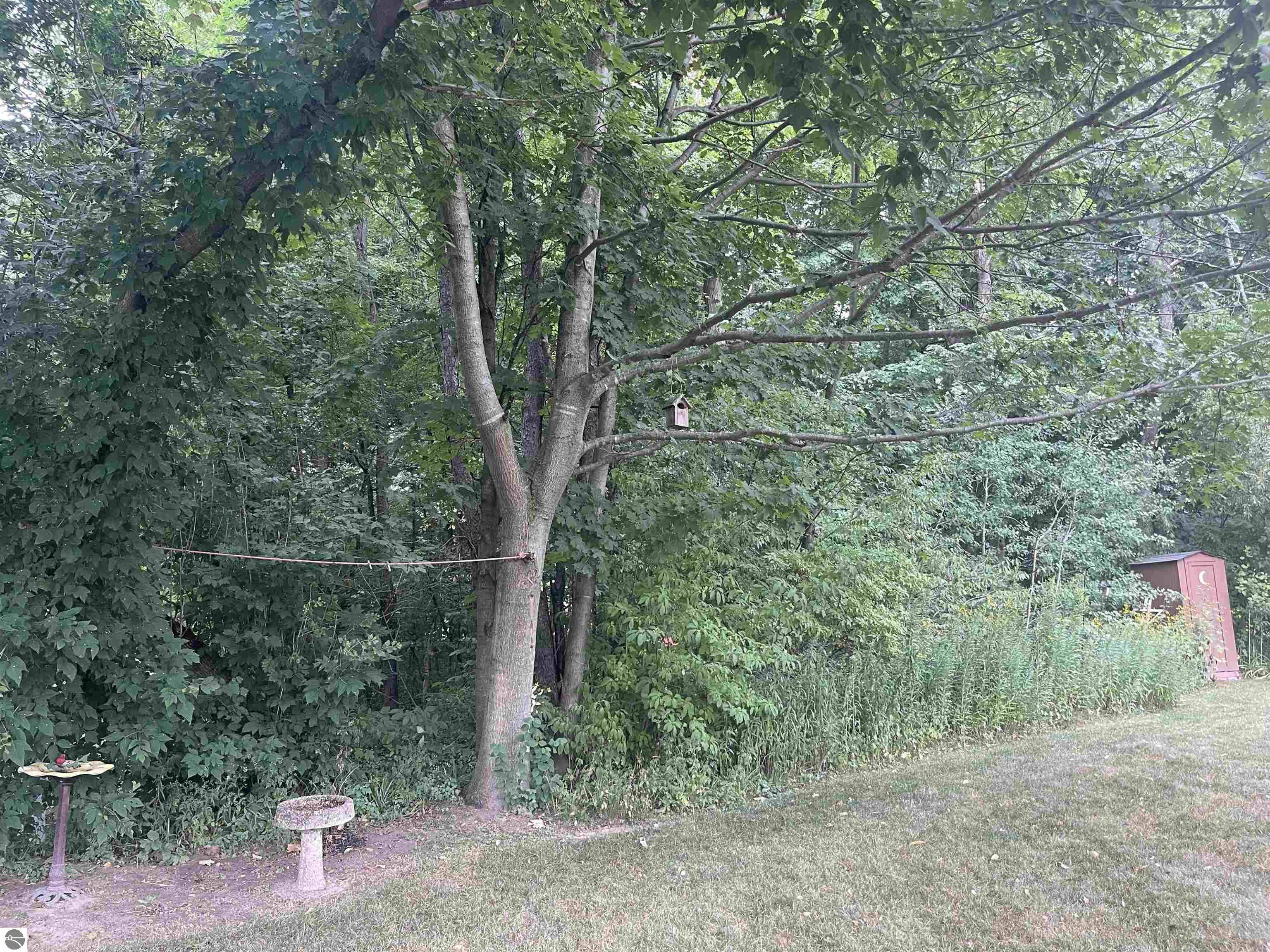742 Blossomwood Drive, Clare, MI 48617 — Photo 40