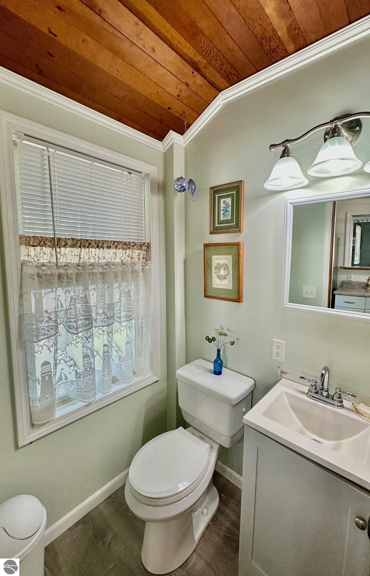 4794 E Cedar Lake Drive, Greenbush, MI 48738 — Photo 14
