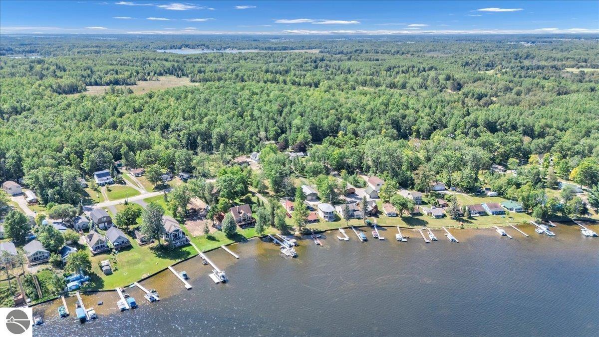 4596 Lakeview Drive, Hale, MI 48739 — Photo 6