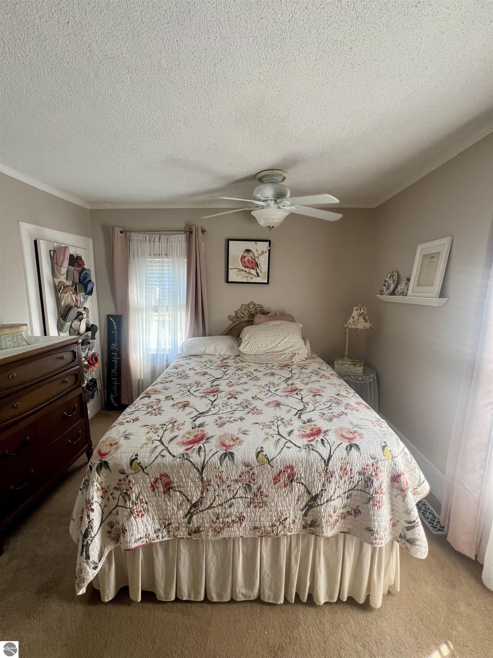 314 E Newark Street, Ithaca, MI 48847 — Photo 19