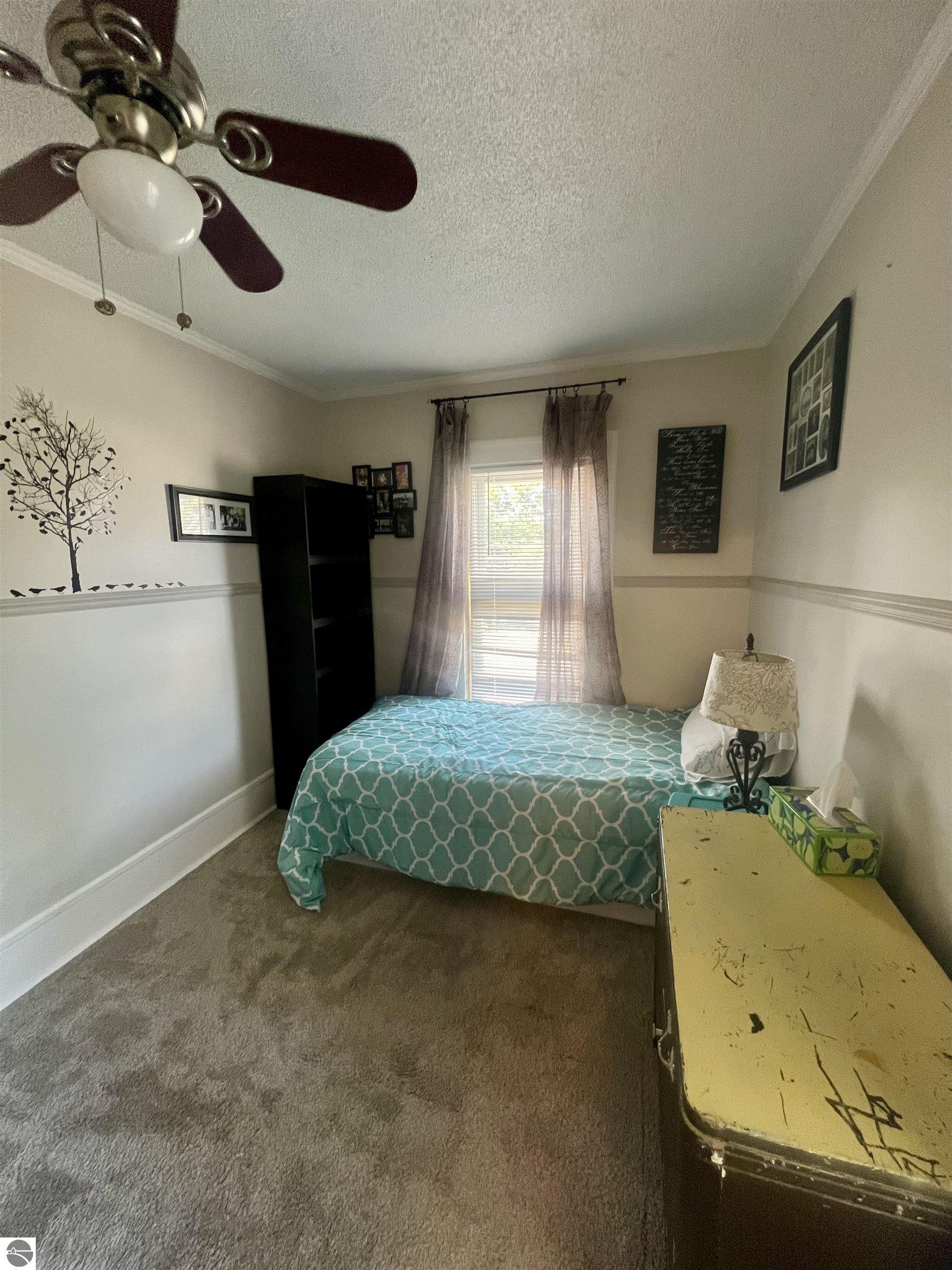 314 E Newark Street, Ithaca, MI 48847 — Photo 21