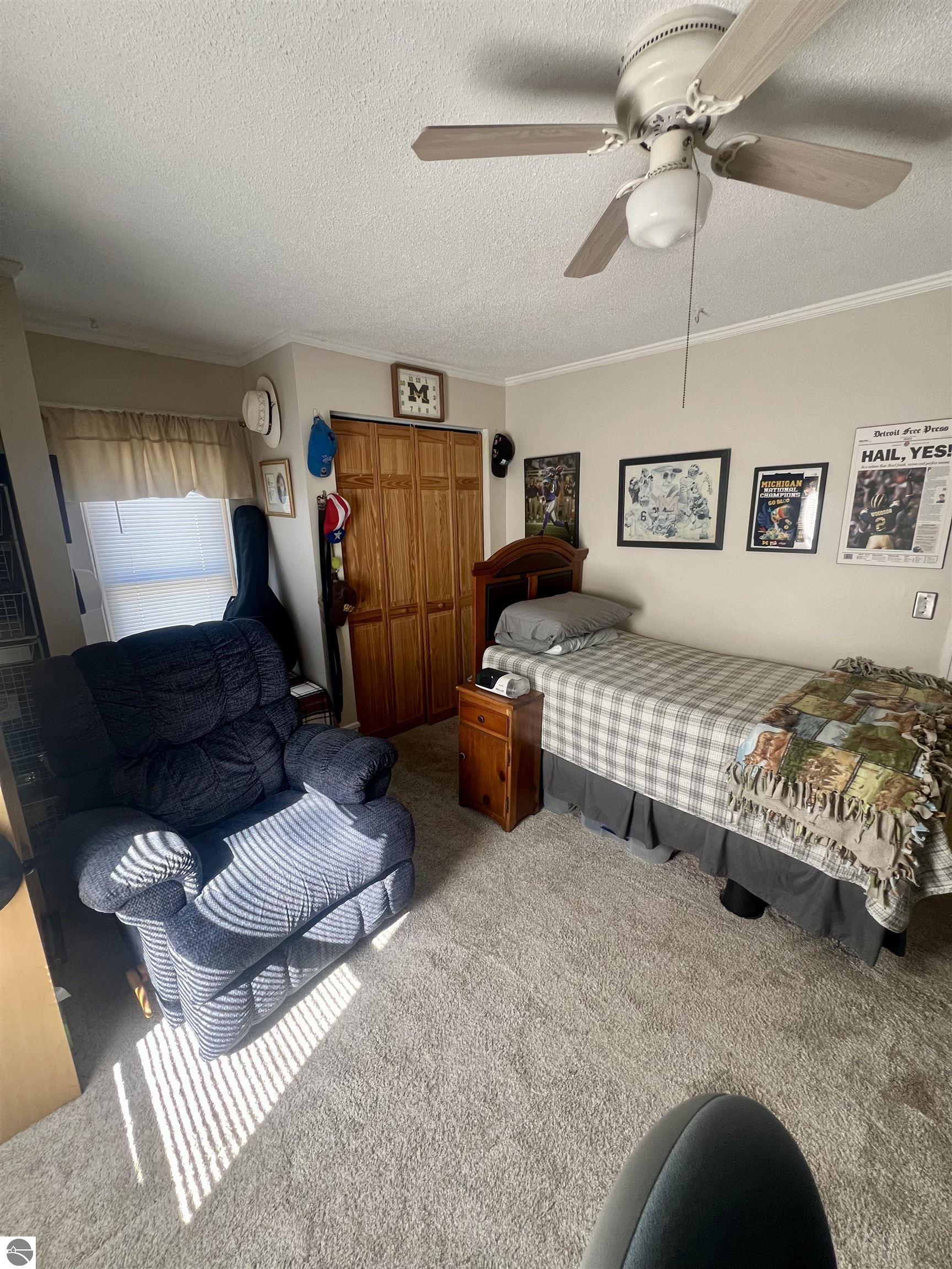 314 E Newark Street, Ithaca, MI 48847 — Photo 23