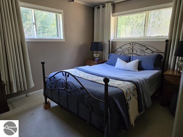 10220 E Elk Lake Drive, Rapid City, MI 49676 — Photo 7