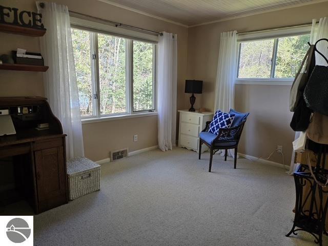 10220 E Elk Lake Drive, Rapid City, MI 49676 — Photo 8