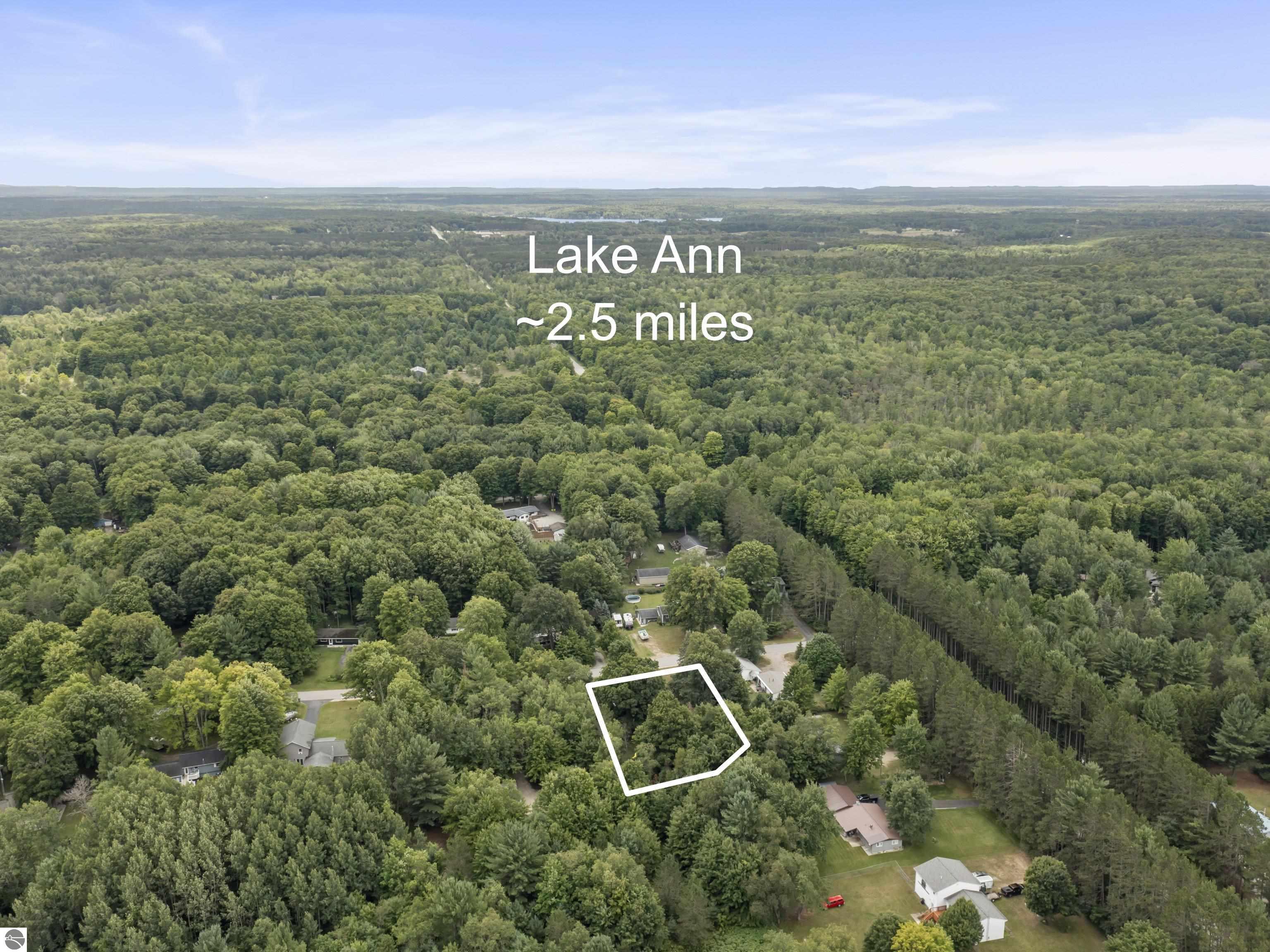 8692 Red Pine Drive, Lake Ann, MI 49650 — Photo 5