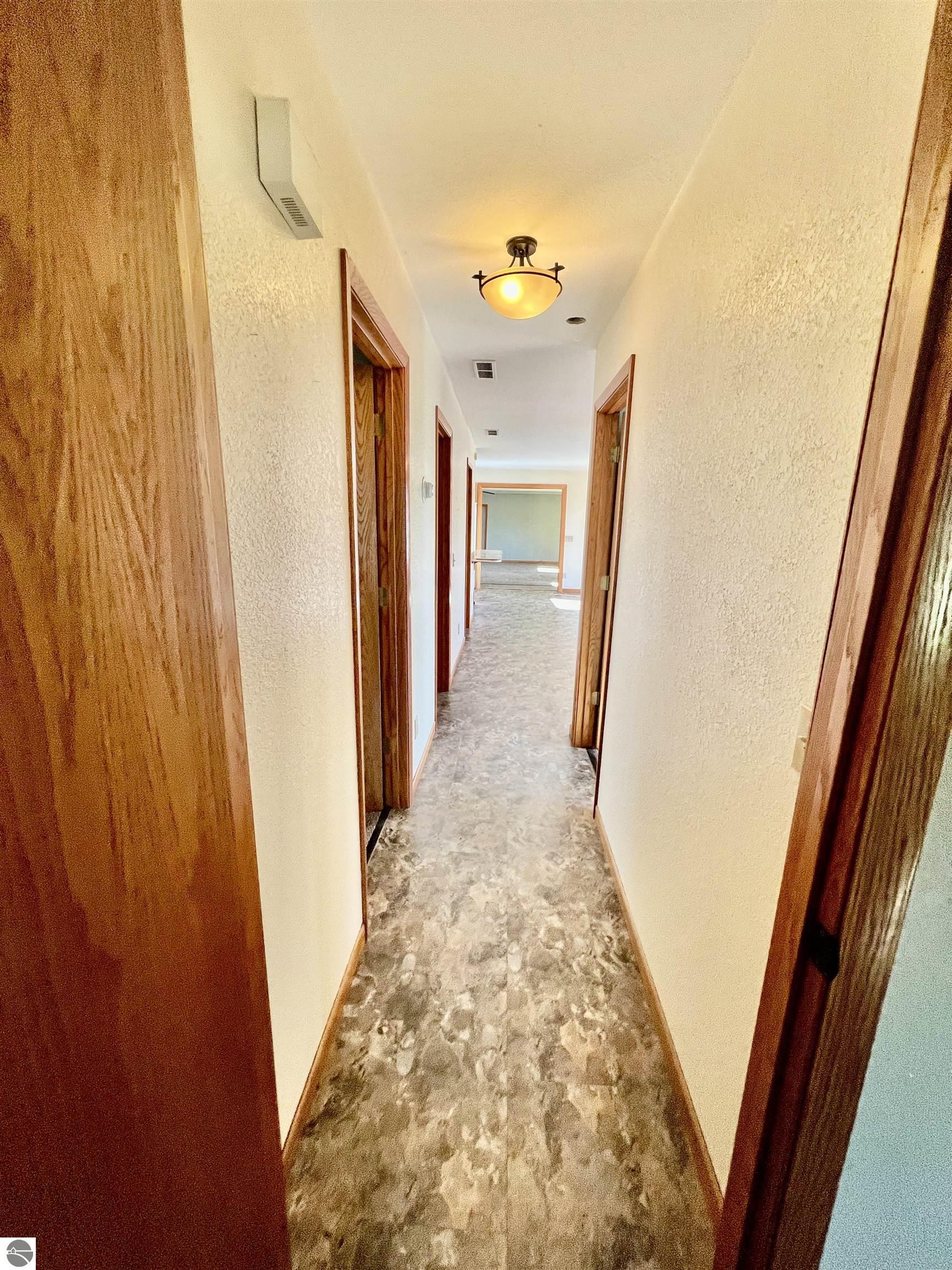 10911 E Lake Montcalm Road, Riverdale, MI 48877 — Photo 14