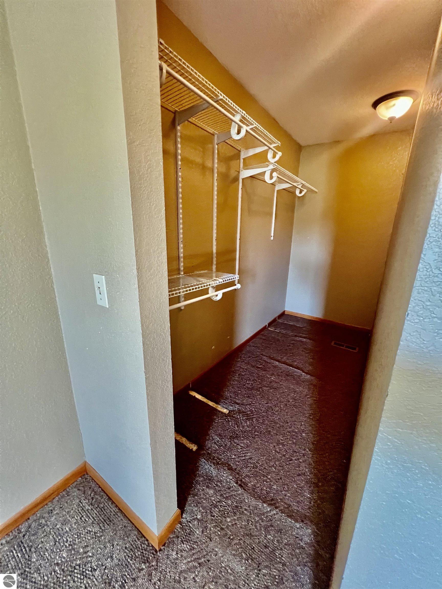 10911 E Lake Montcalm Road, Riverdale, MI 48877 — Photo 28