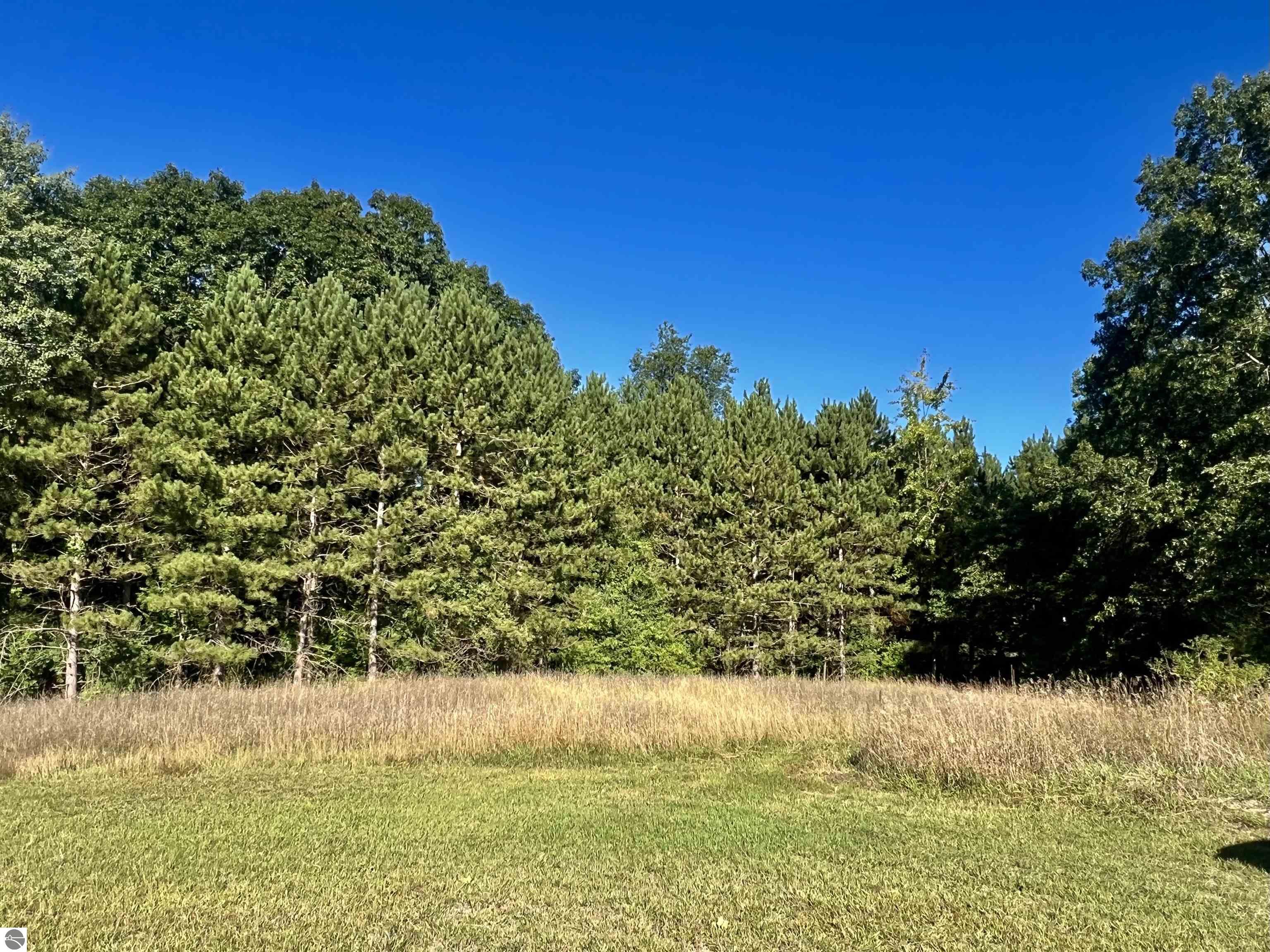 10911 E Lake Montcalm Road, Riverdale, MI 48877 — Photo 38