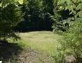 Photo 11 for MLS 1938150