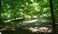 Photo 6 for MLS 1938150