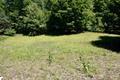 Photo 8 for MLS 1938150