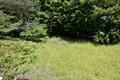 Photo 9 for MLS 1938150