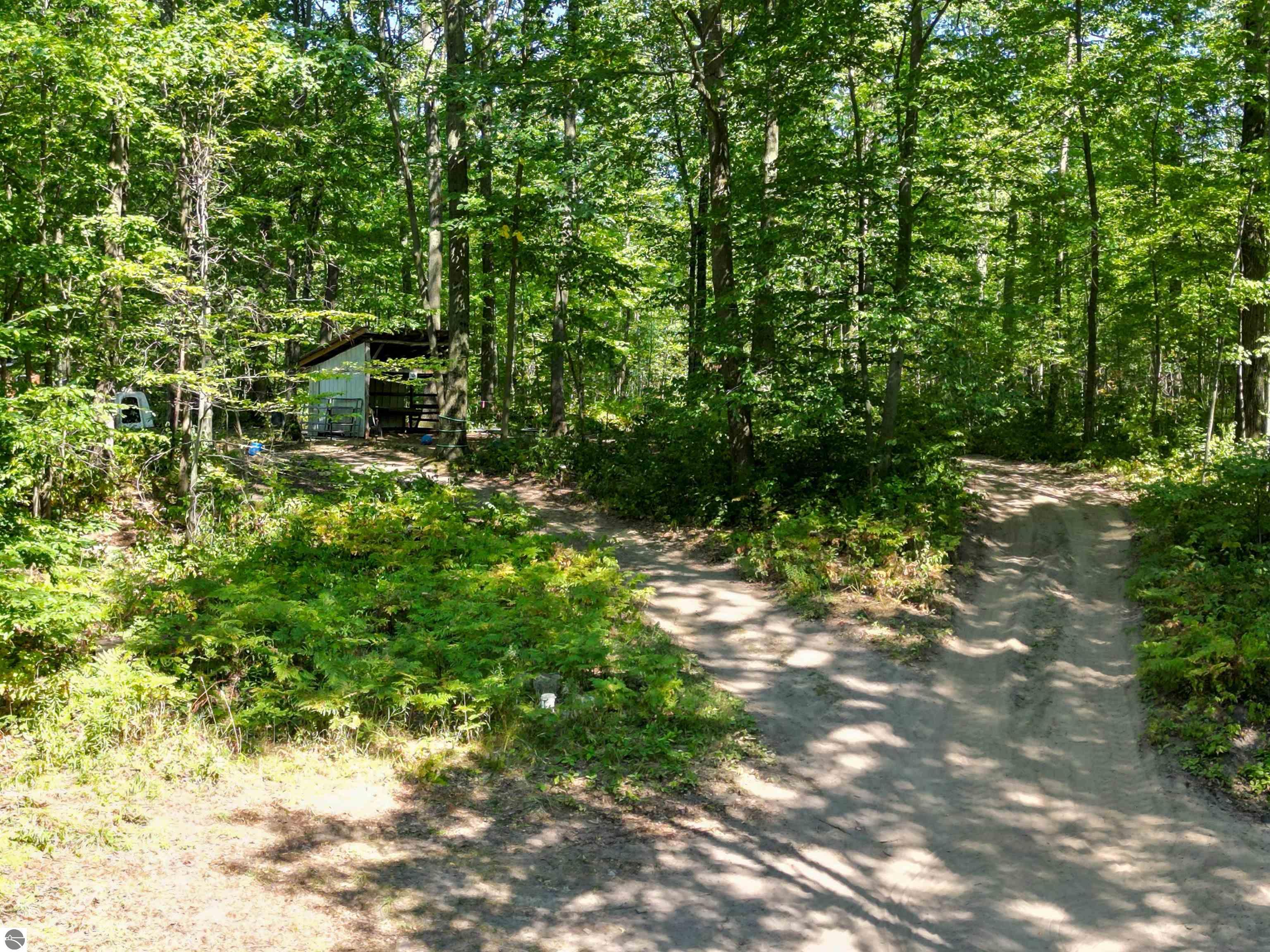 4518 W Vernon Road, Weidman, MI 48893 — Photo 25