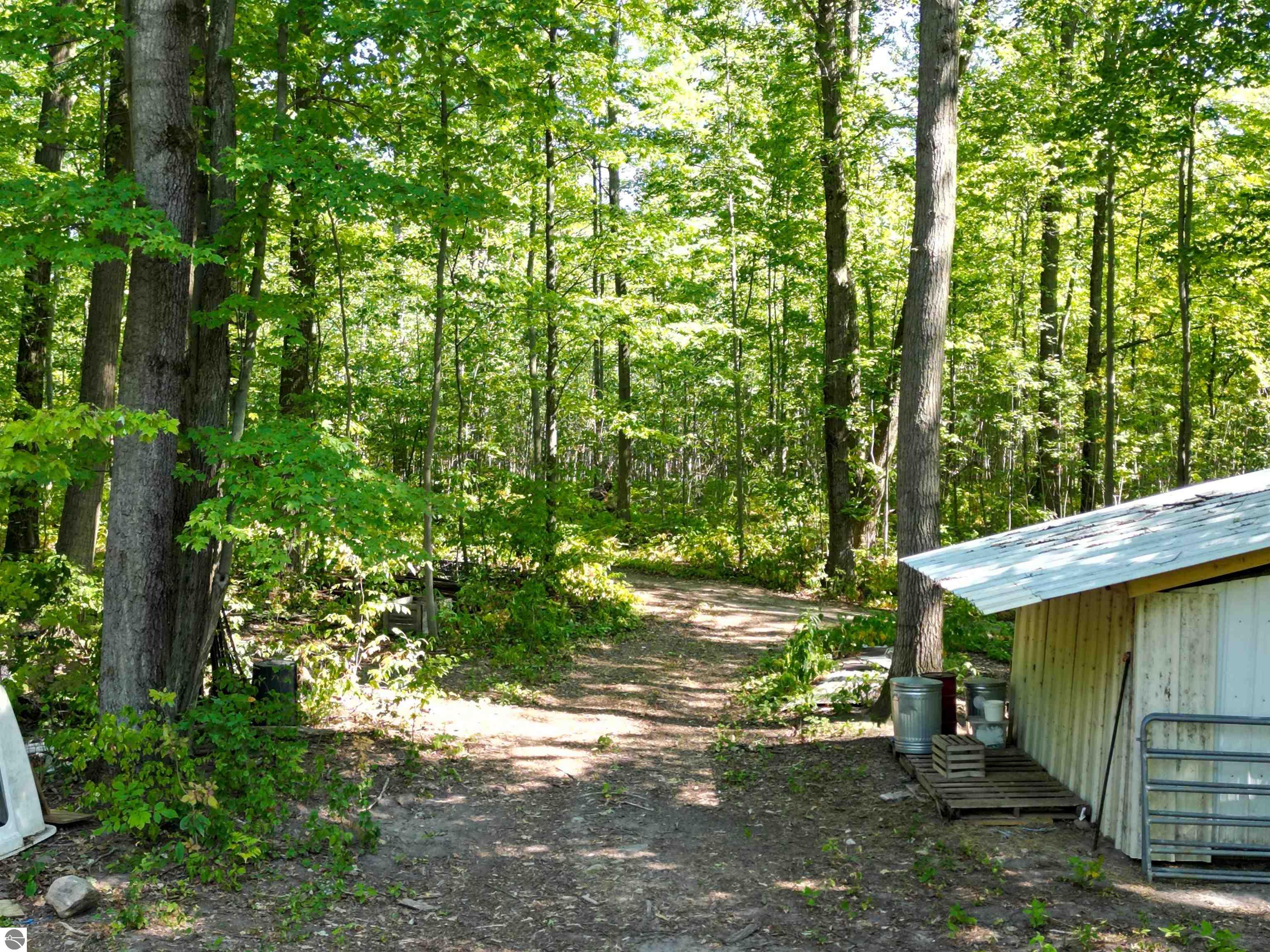 4518 W Vernon Road, Weidman, MI 48893 — Photo 29