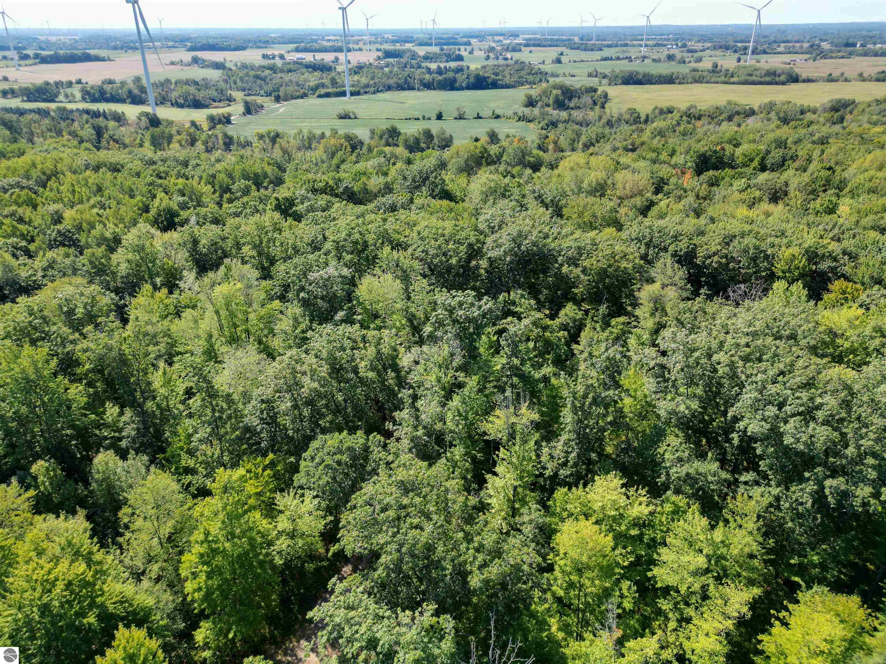 4518 W Vernon Road, Weidman, MI 48893 — Photo 40