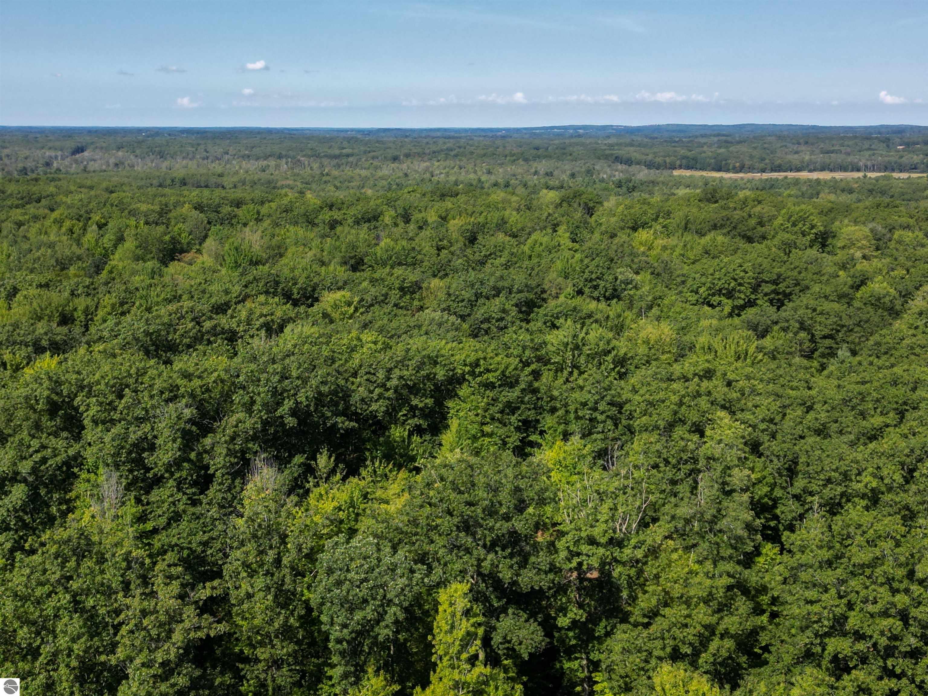 4518 W Vernon Road, Weidman, MI 48893 — Photo 41