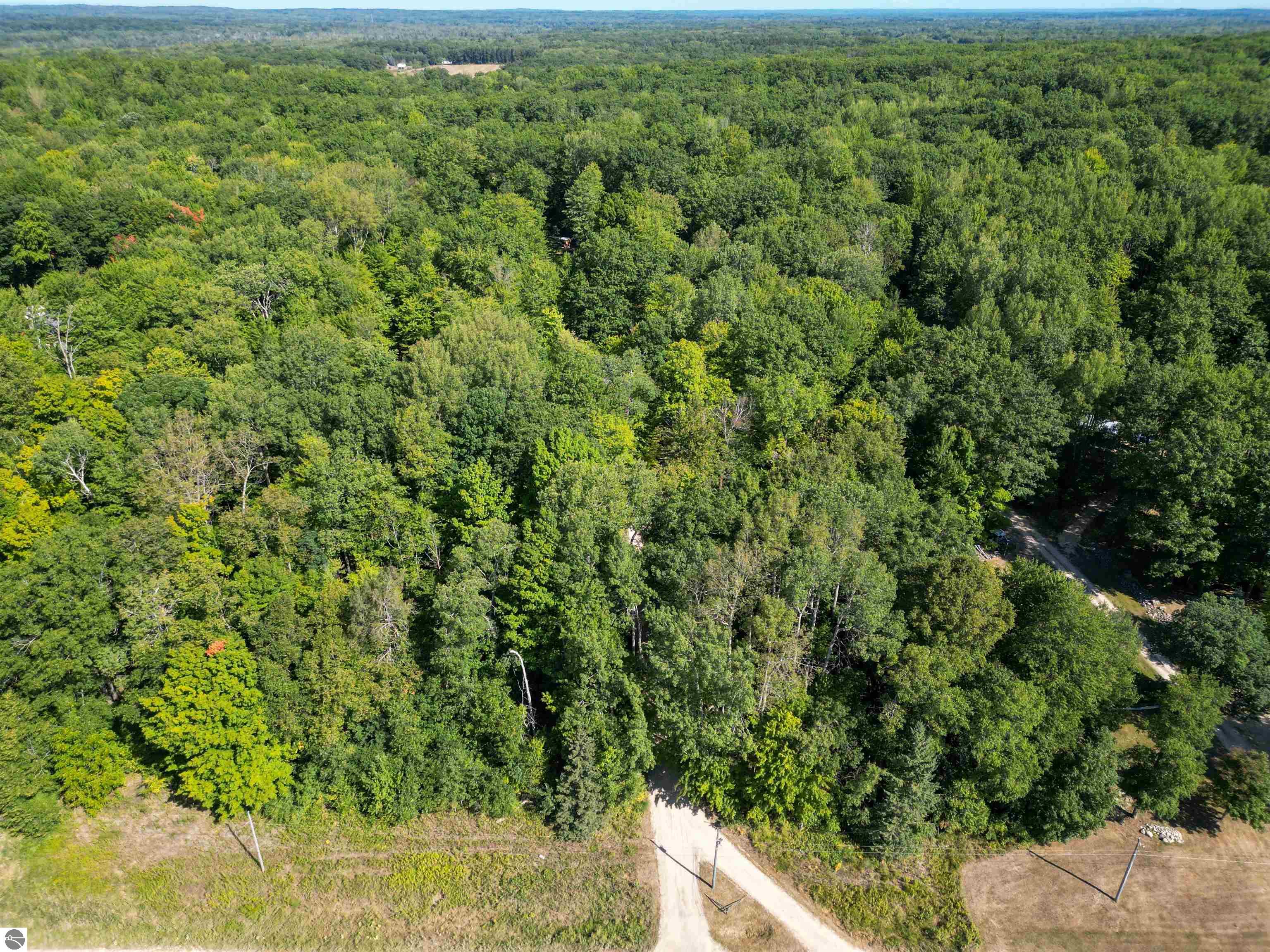 4518 W Vernon Road, Weidman, MI 48893 — Photo 6