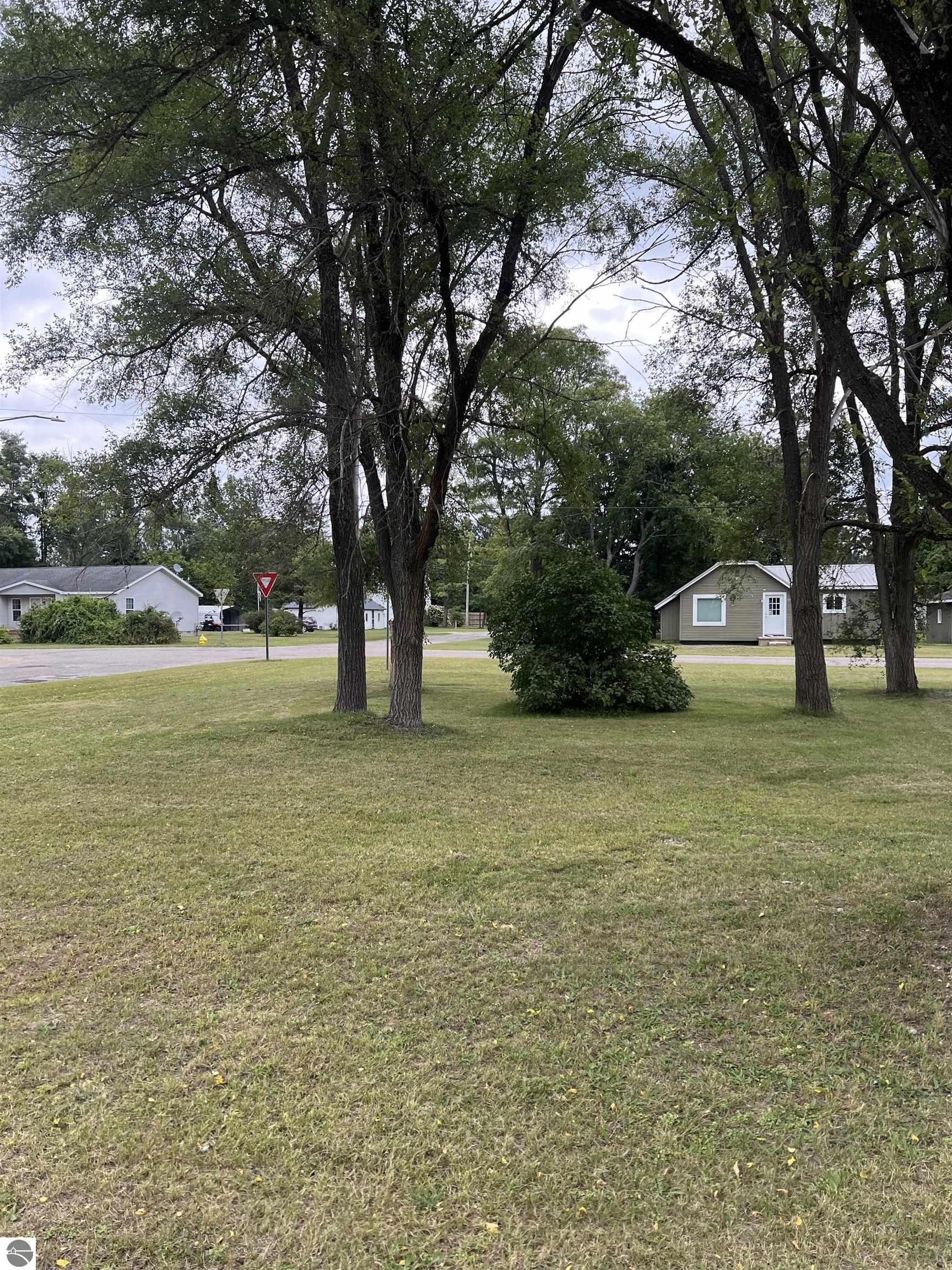 403 George Street, Kalkaska, MI 49696 — Photo 20