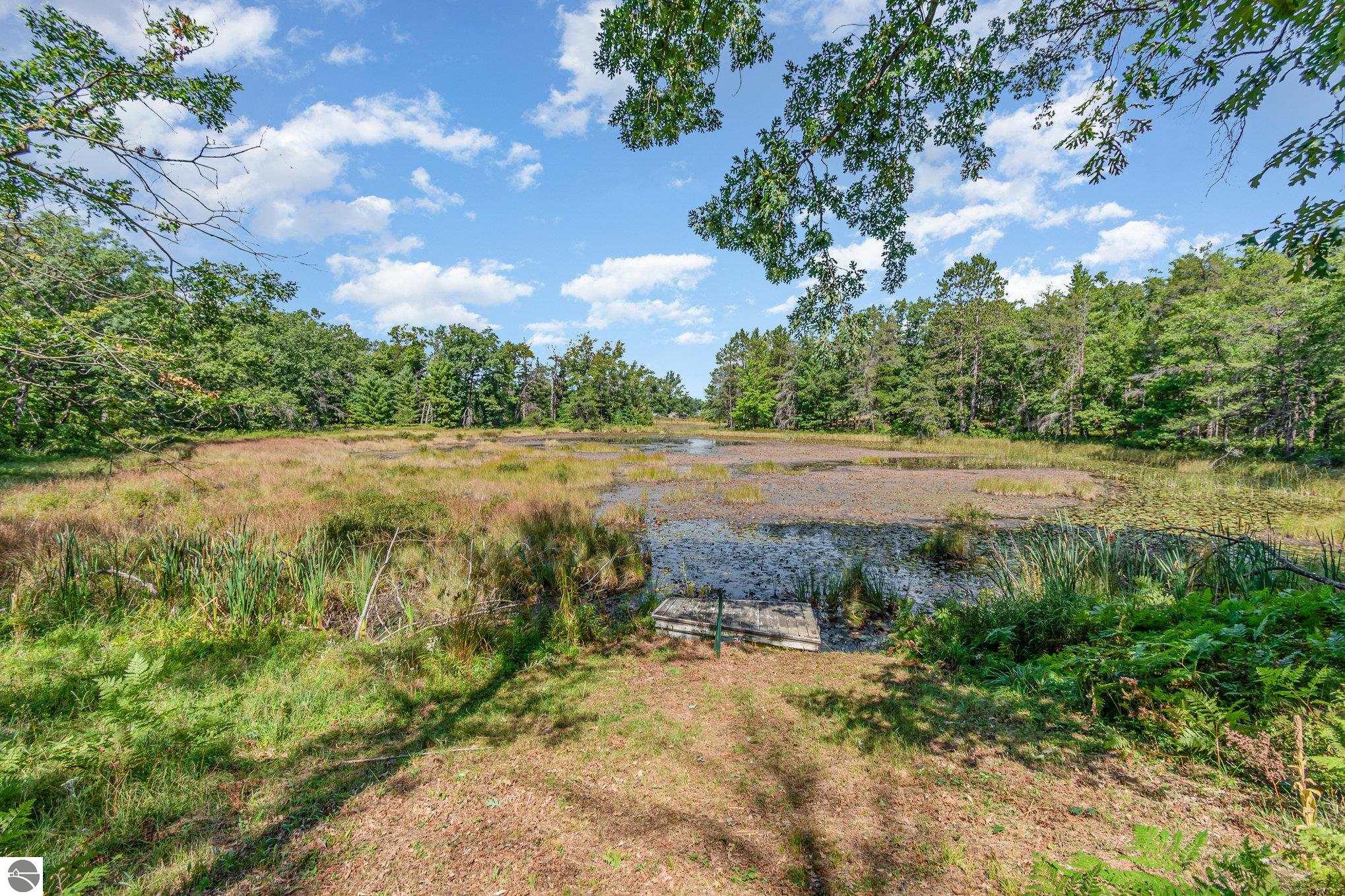 8220 Chain Lake Road, South Branch, MI 48761 — Photo 9