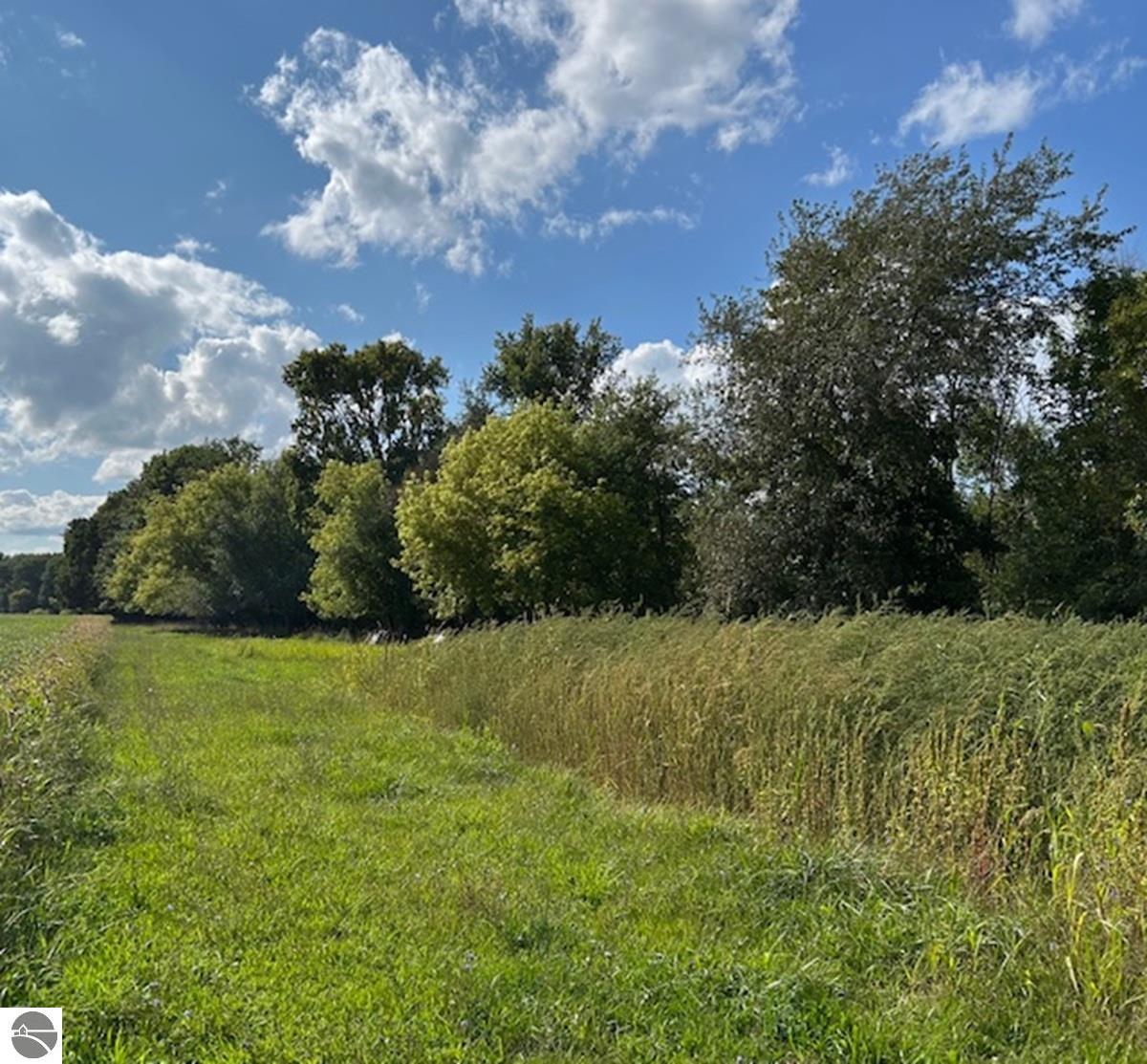 428 S Barry Road, Ithaca, MI 48847 — Photo 11