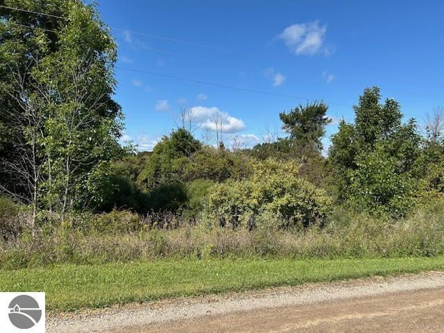 428 S Barry Road, Ithaca, MI 48847 — Photo 5
