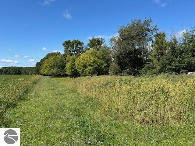 428 S Barry Road, Ithaca, MI 48847 — Photo 7