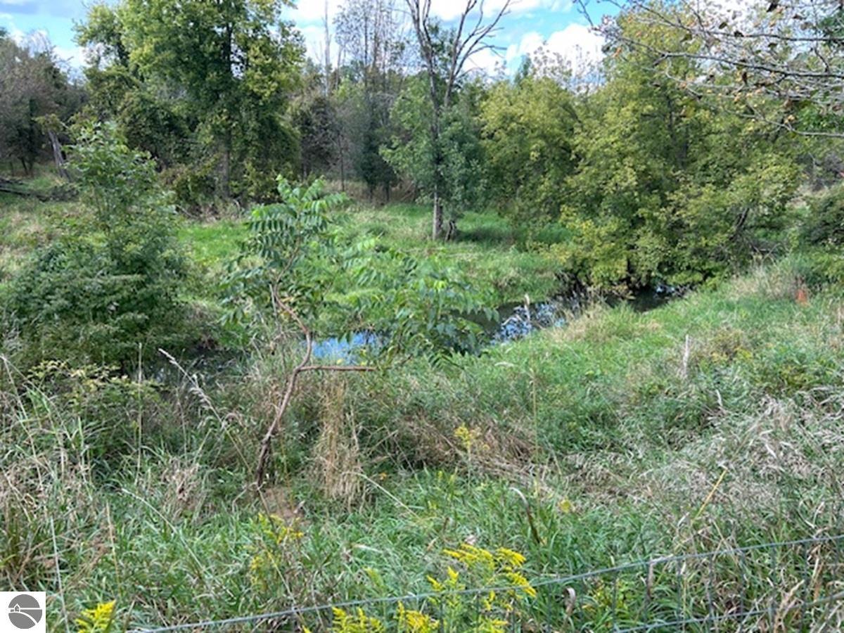 428 S Barry Road, Ithaca, MI 48847 — Photo 10