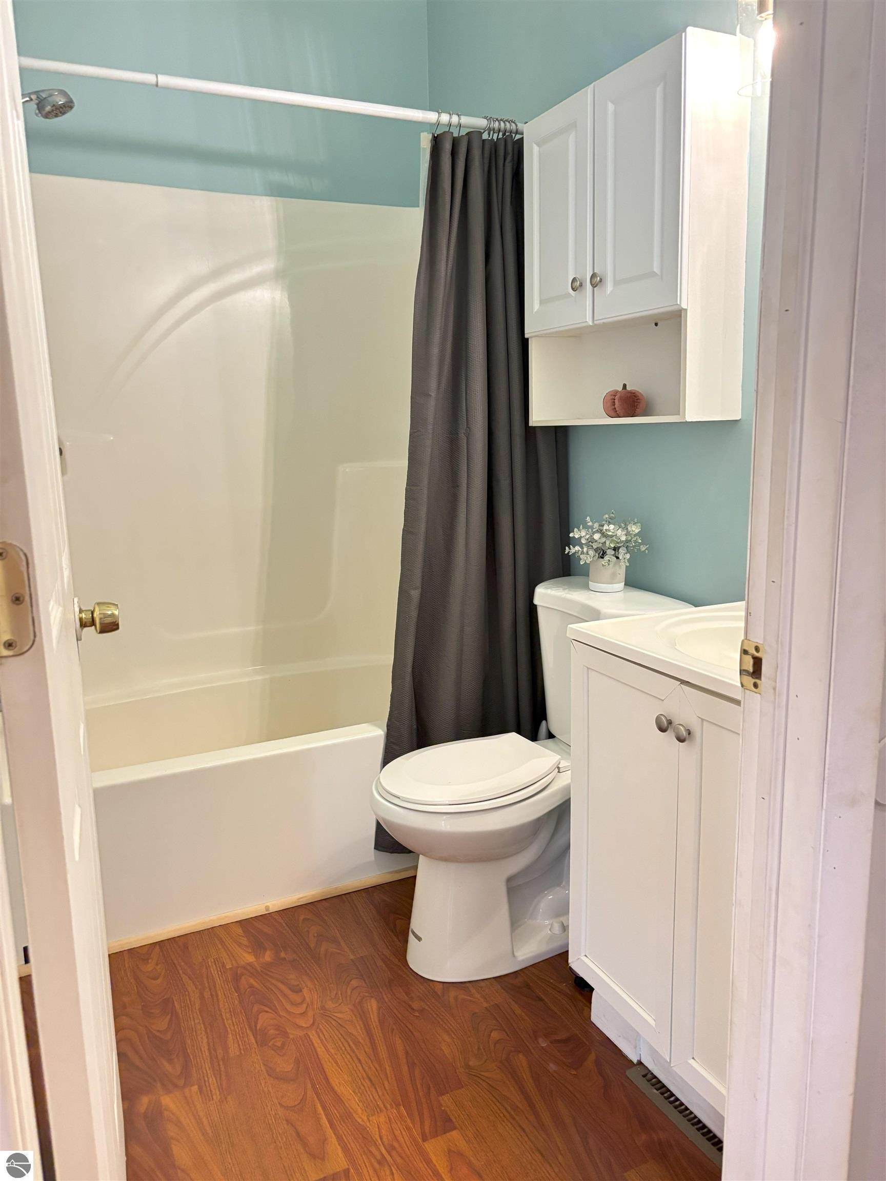 3691 E Rosebush Road, Rosebush, MI 48878 — Photo 12