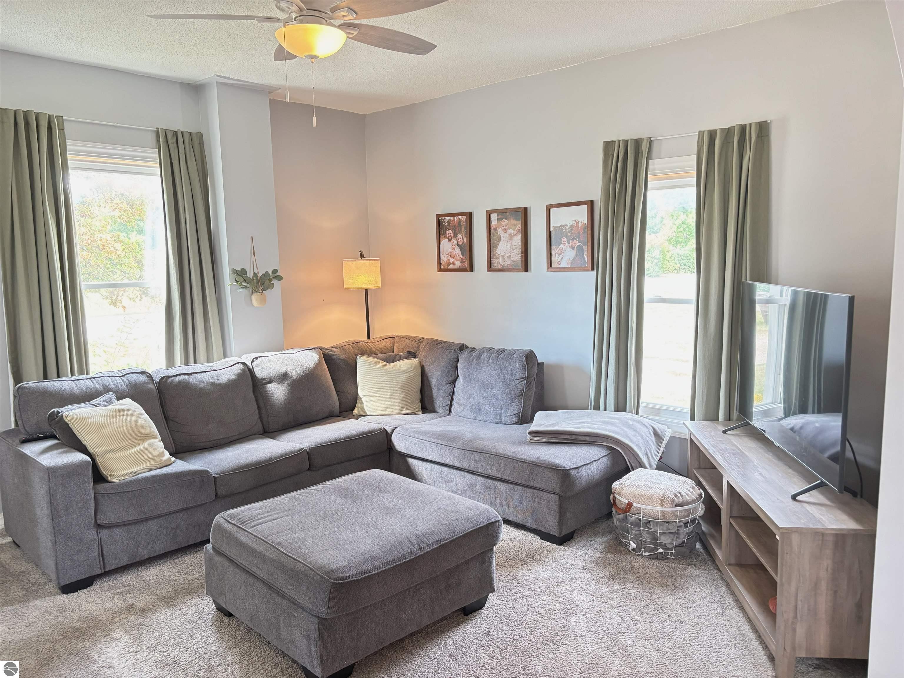 3691 E Rosebush Road, Rosebush, MI 48878 — Photo 16