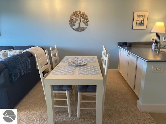 29 Loggers Run, Glen Arbor, MI 49636 — Photo 12