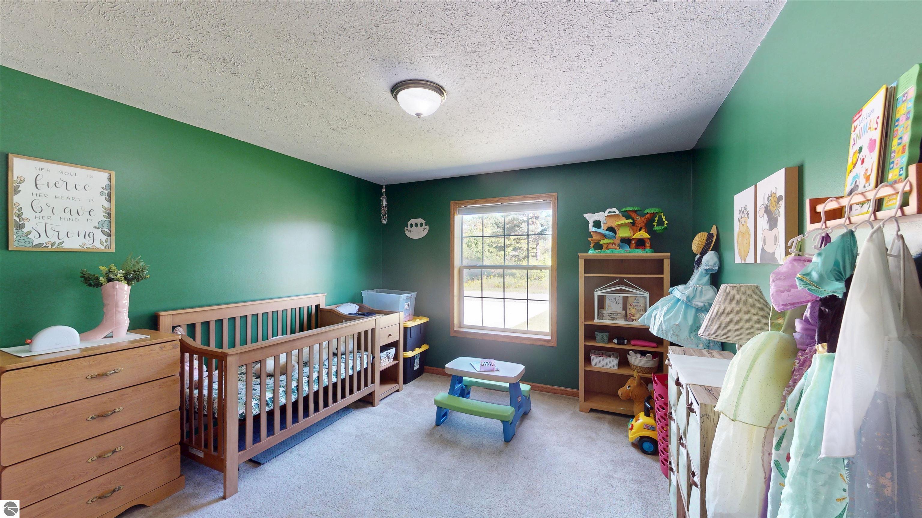 5463 Brake Road, Bellaire, MI 49615 — Photo 47
