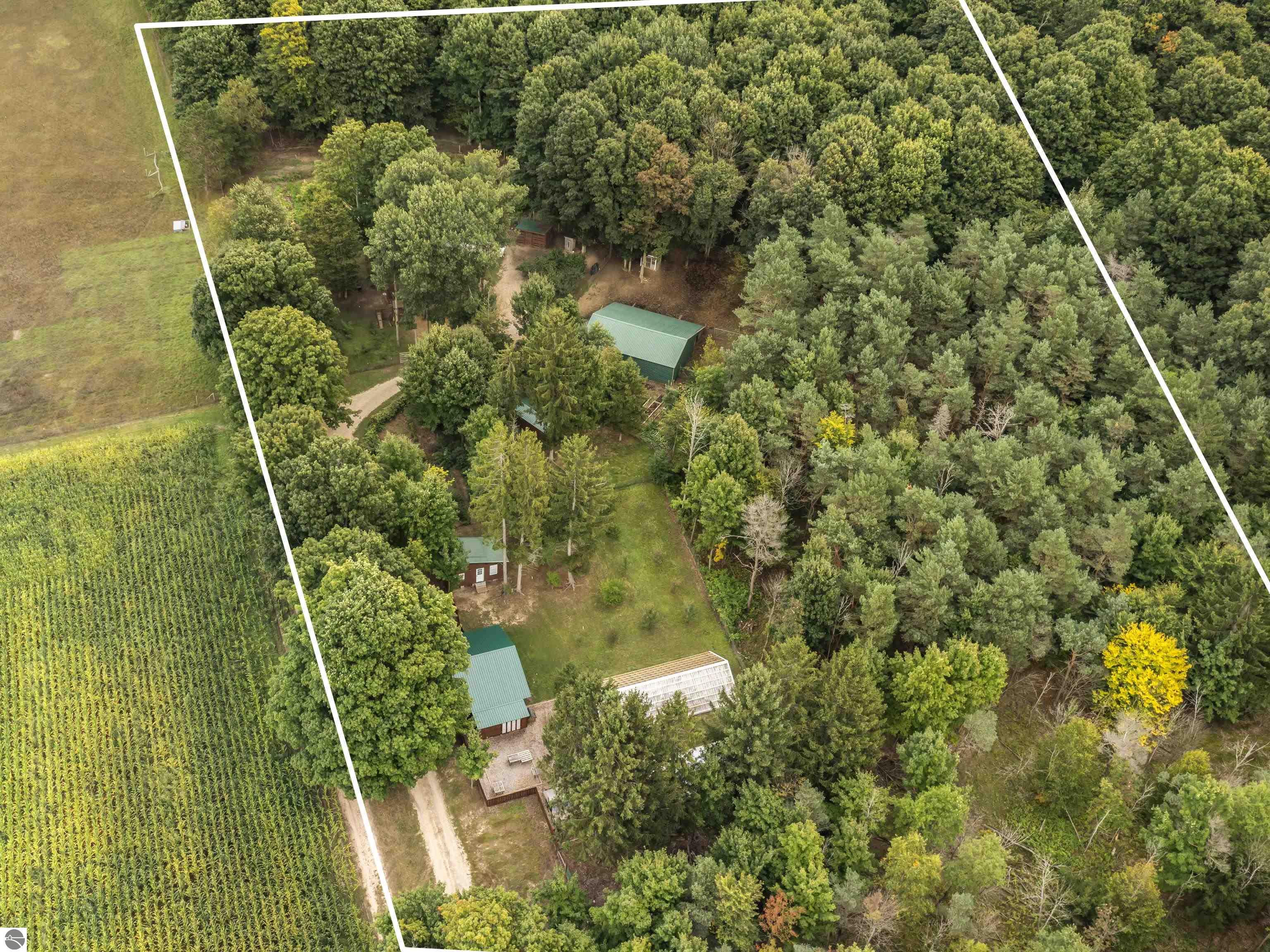 22800 Cadillac Highway, Copemish, MI 49625 — Photo 4