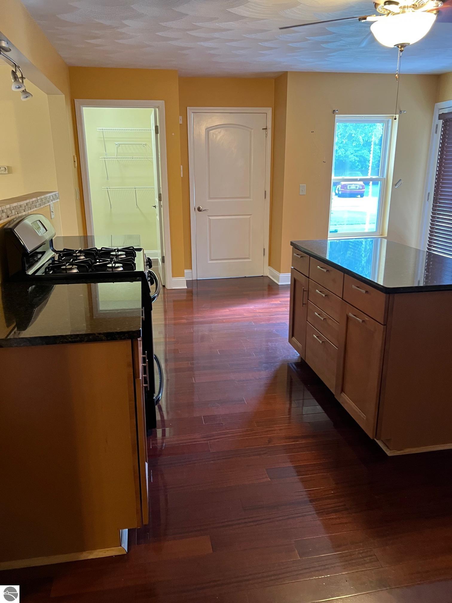 203 N Elm Street, Ithaca, MI 48847 — Photo 31