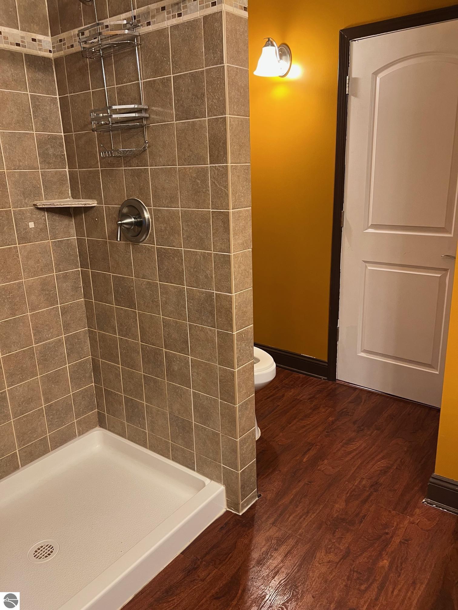 203 N Elm Street, Ithaca, MI 48847 — Photo 40