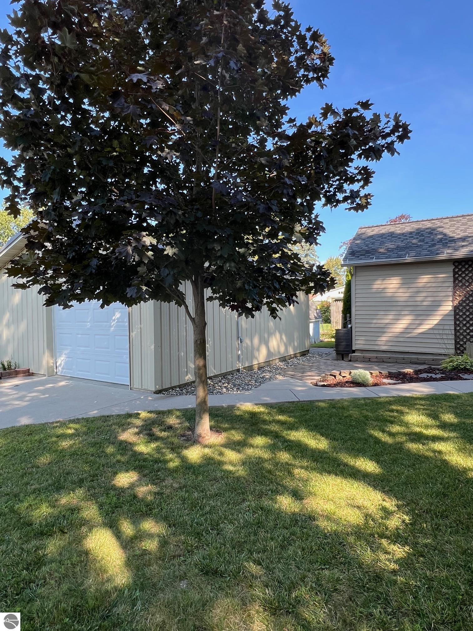 203 N Elm Street, Ithaca, MI 48847 — Photo 7
