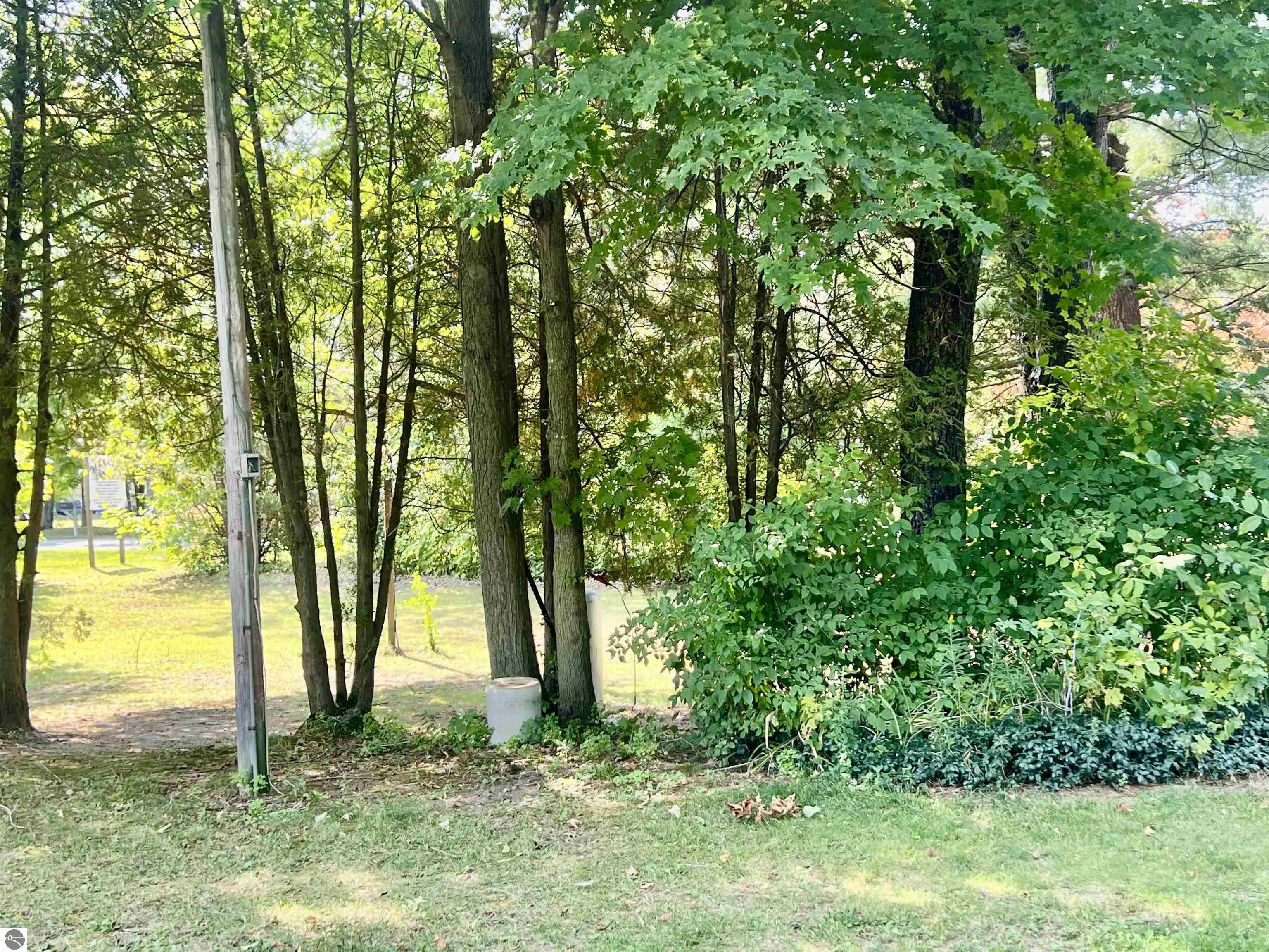 9990 N Lumberjack Road, Riverdale, MI 48877 — Photo 25