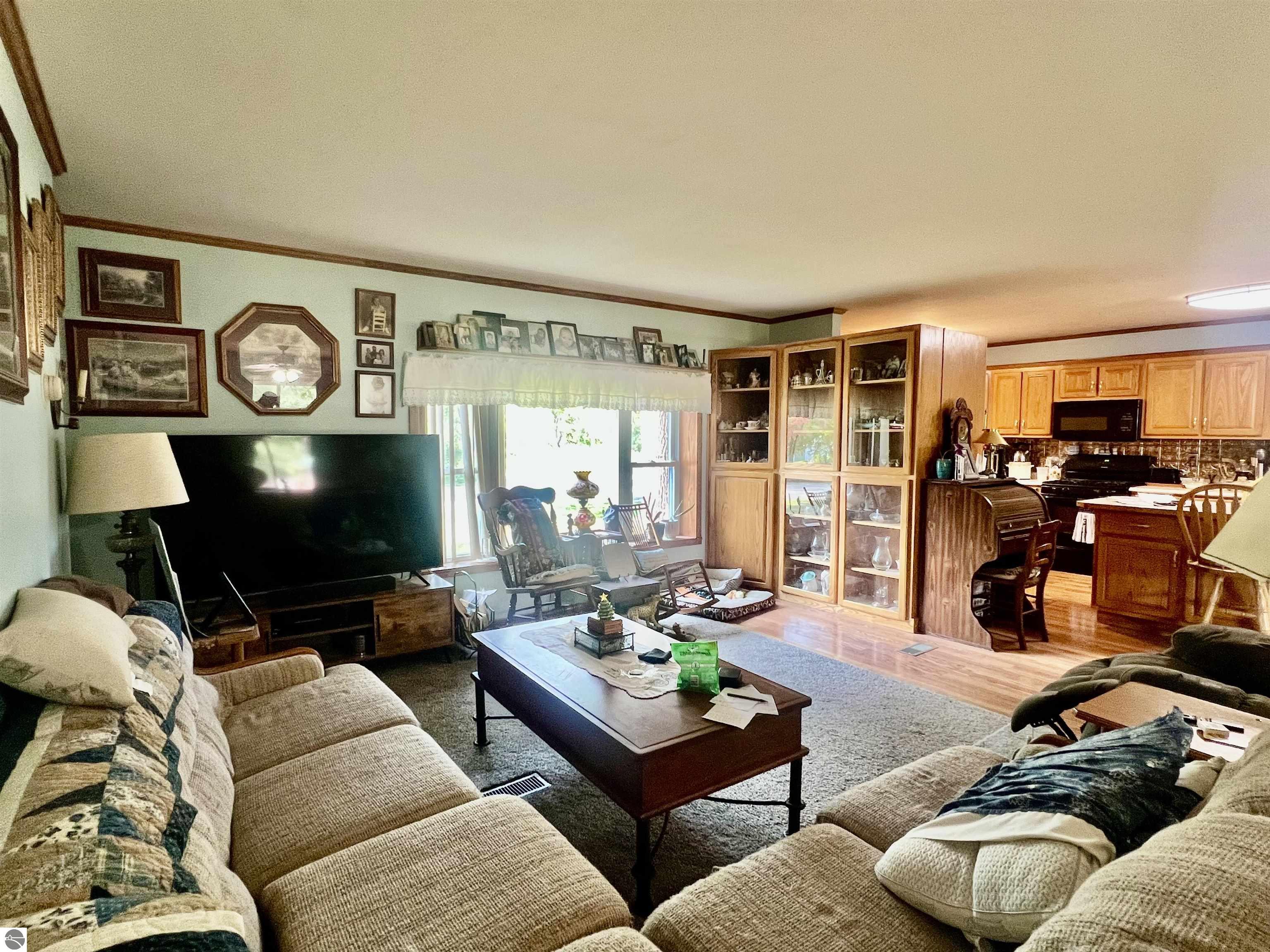 9990 N Lumberjack Road, Riverdale, MI 48877 — Photo 8