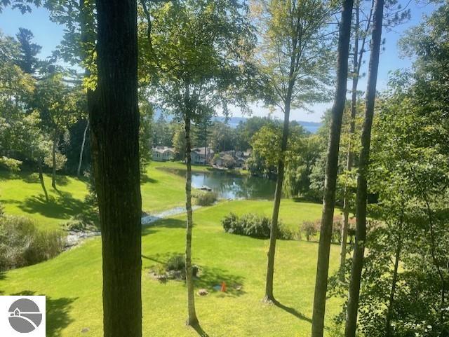 8C Brook Hill, Condo, Glen Arbor, MI 49636 — Photo 3