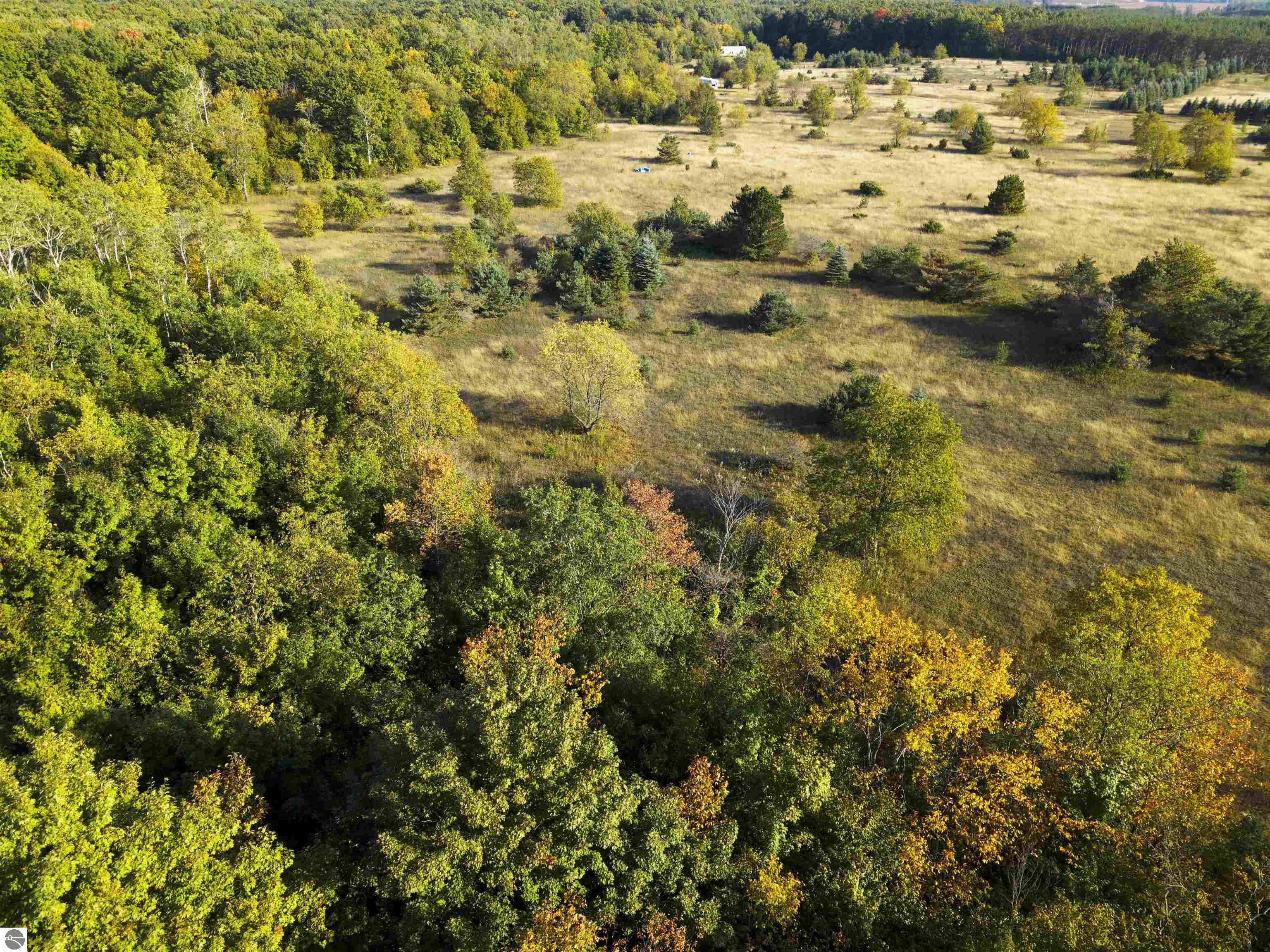 3191 Tucker Road, Elmira, MI 49730 — Photo 14